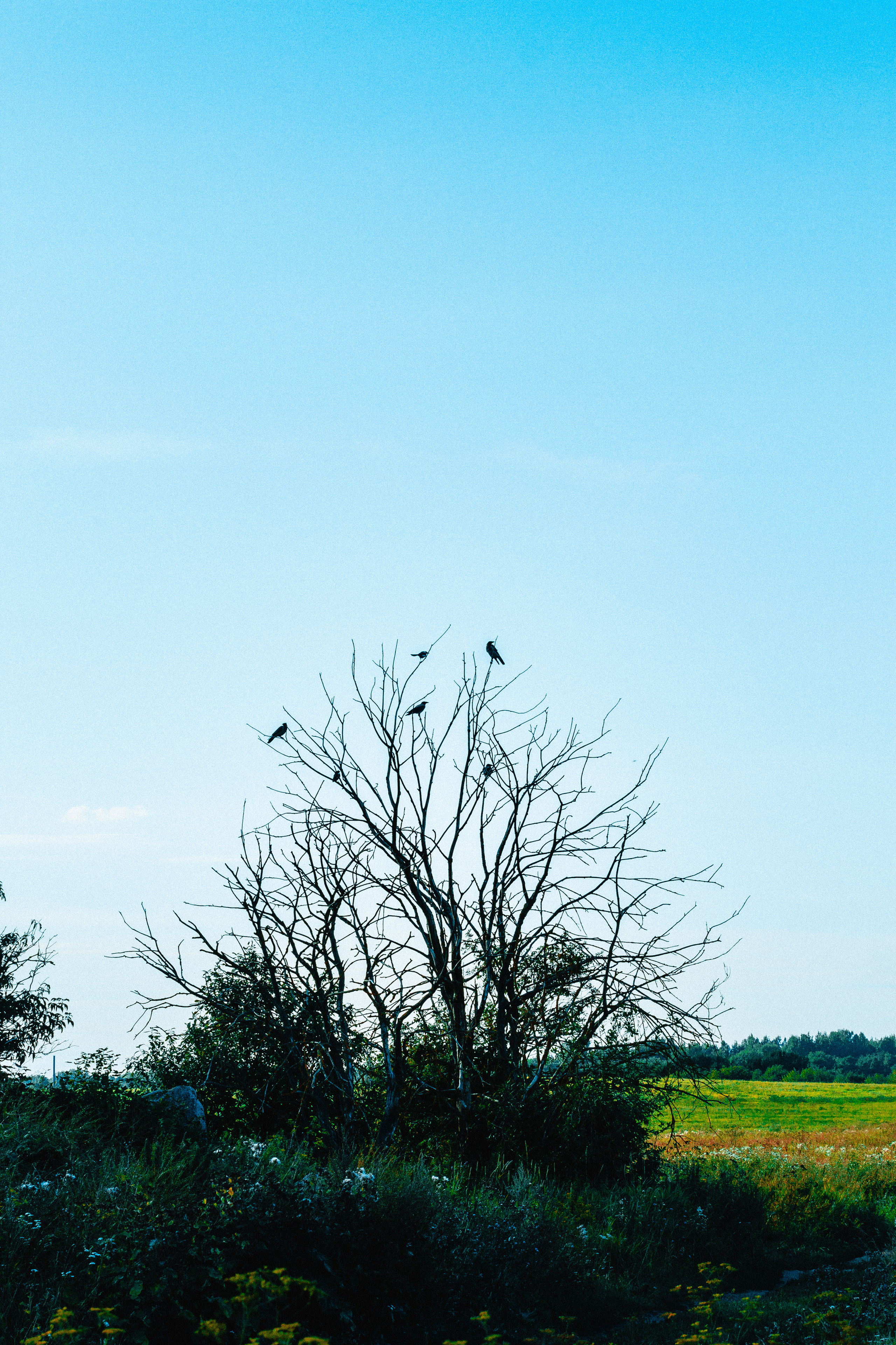 Стрит. Платонов Олег — фотограф Санкт-Петербург
