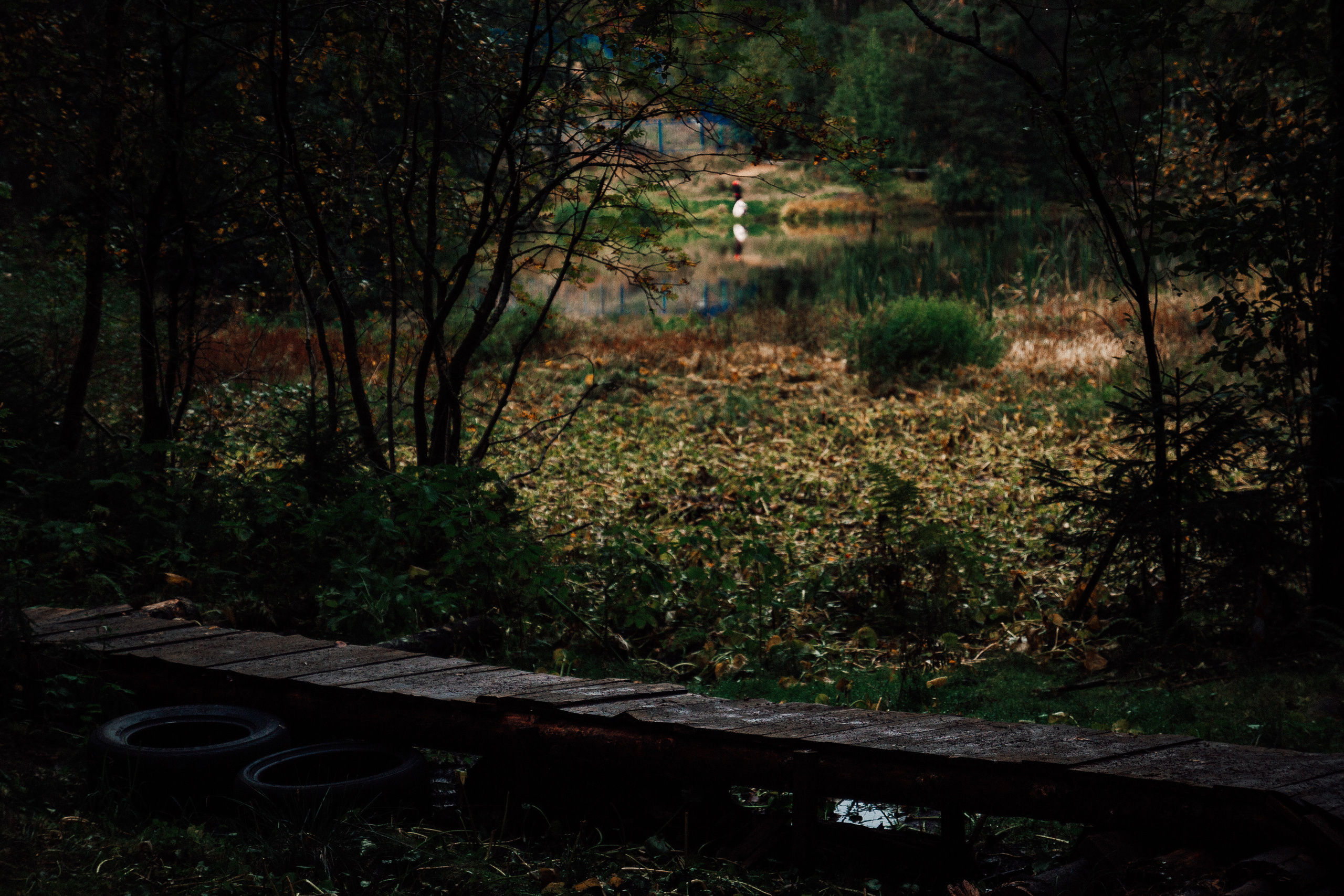 Стрит. Платонов Олег — фотограф Санкт-Петербург