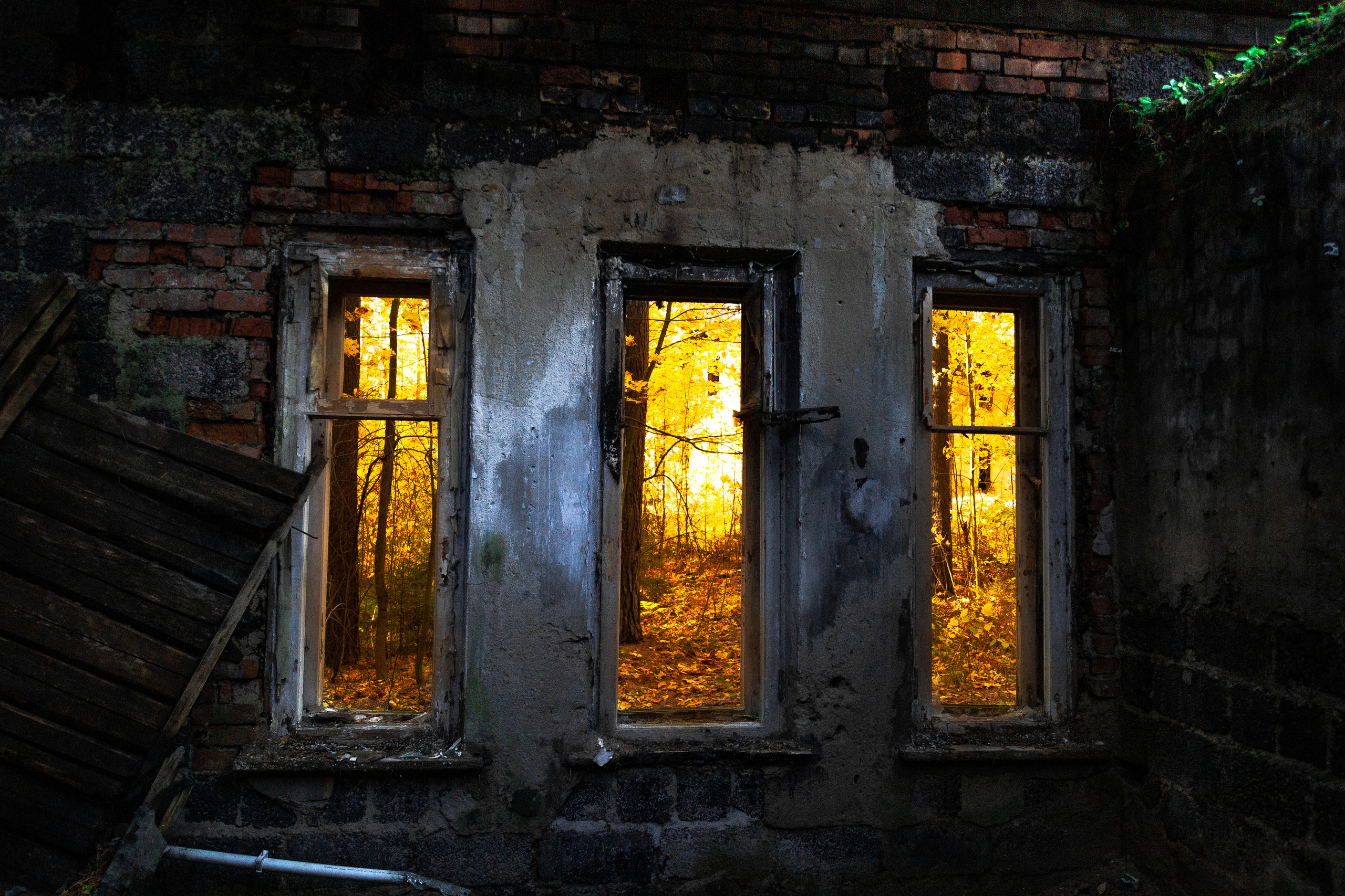 Стрит. Платонов Олег — фотограф Санкт-Петербург