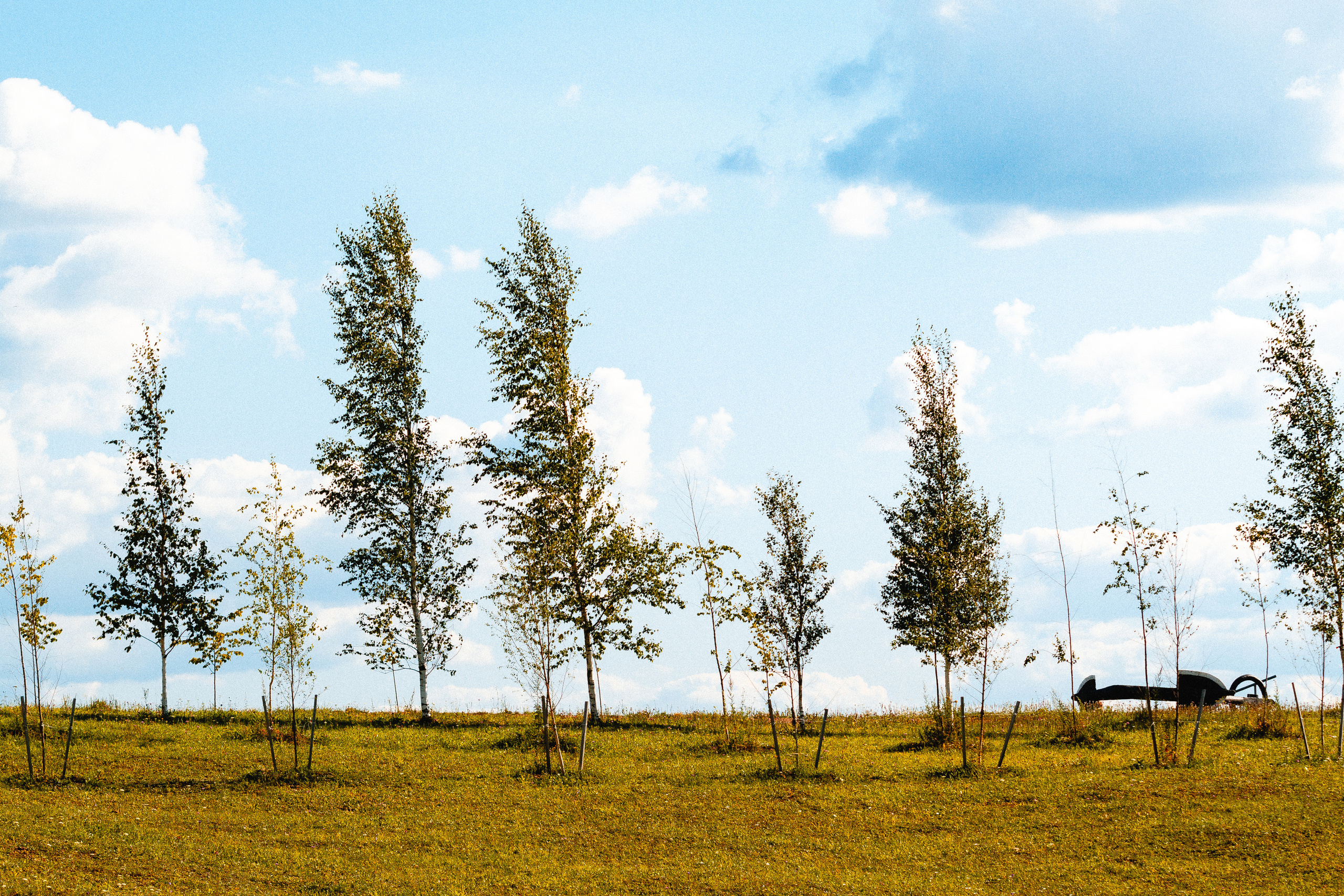 Стрит. Платонов Олег — фотограф Санкт-Петербург