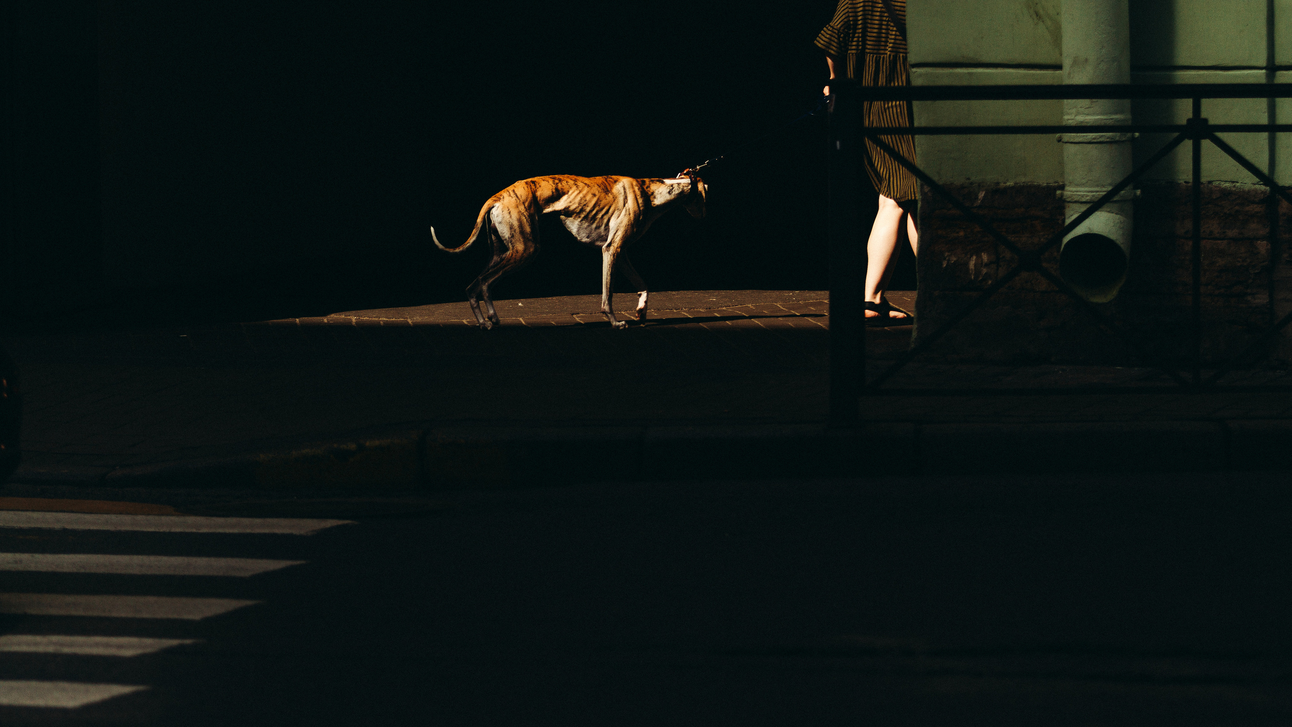 Стрит. Платонов Олег — фотограф Санкт-Петербург