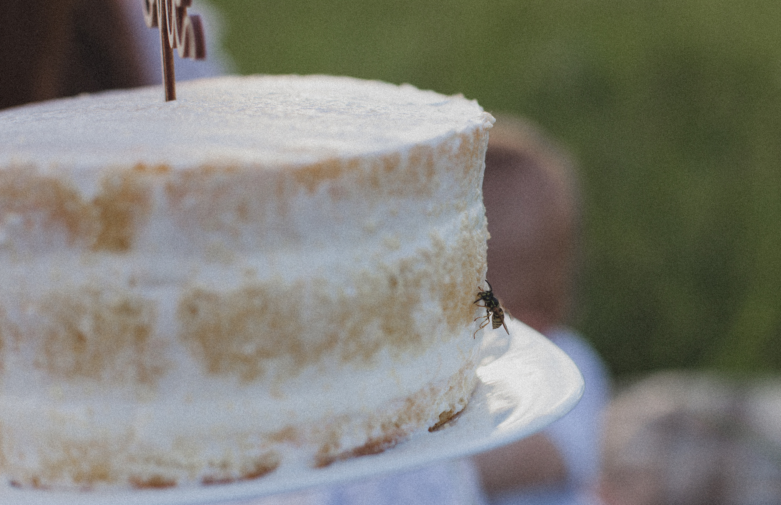 Семейные съемки