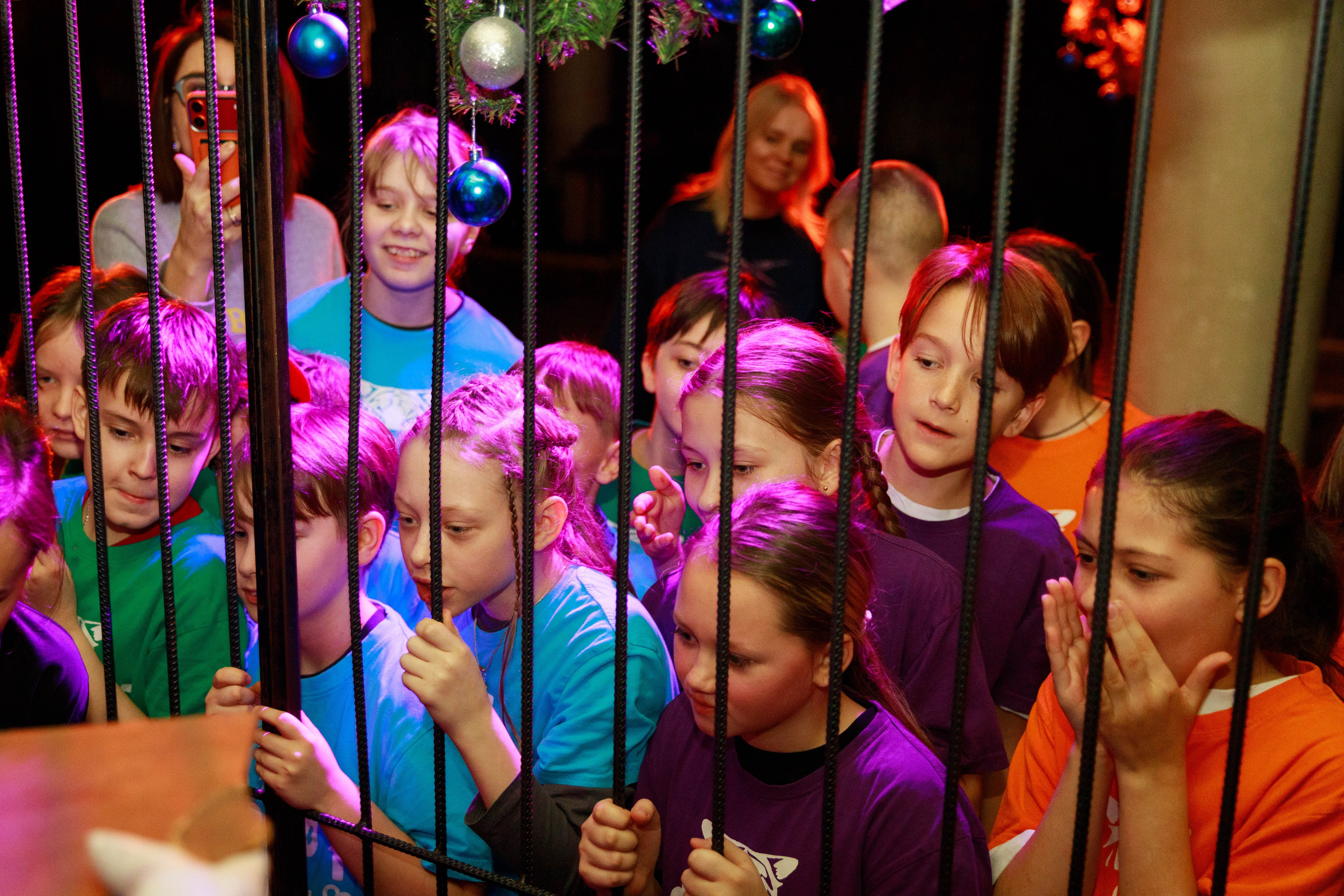 Форт-Баярд. Репортажный фотограф в Новосибирске Алена Помазунова