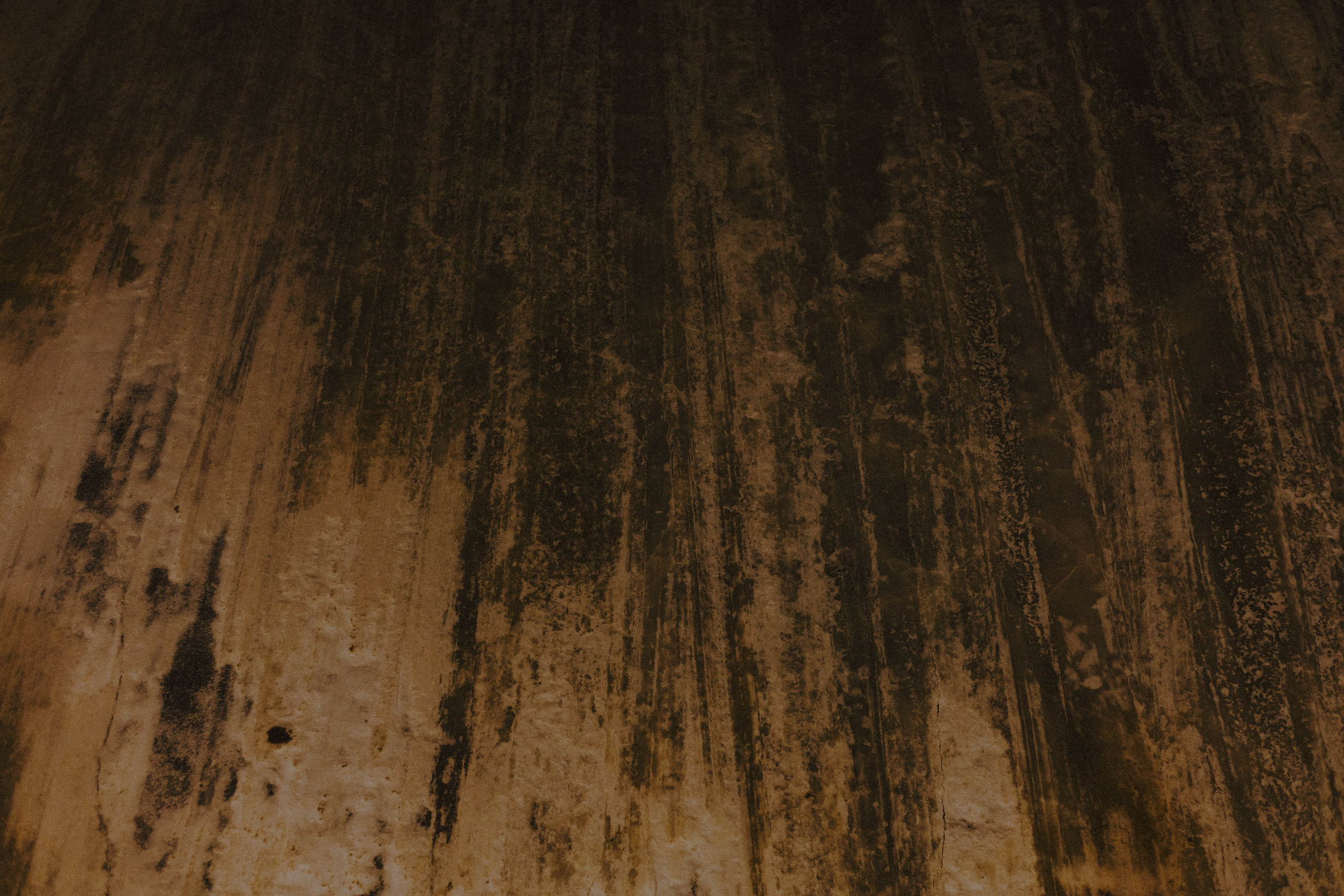 № 22. WAYHAY — Портретный фотограф