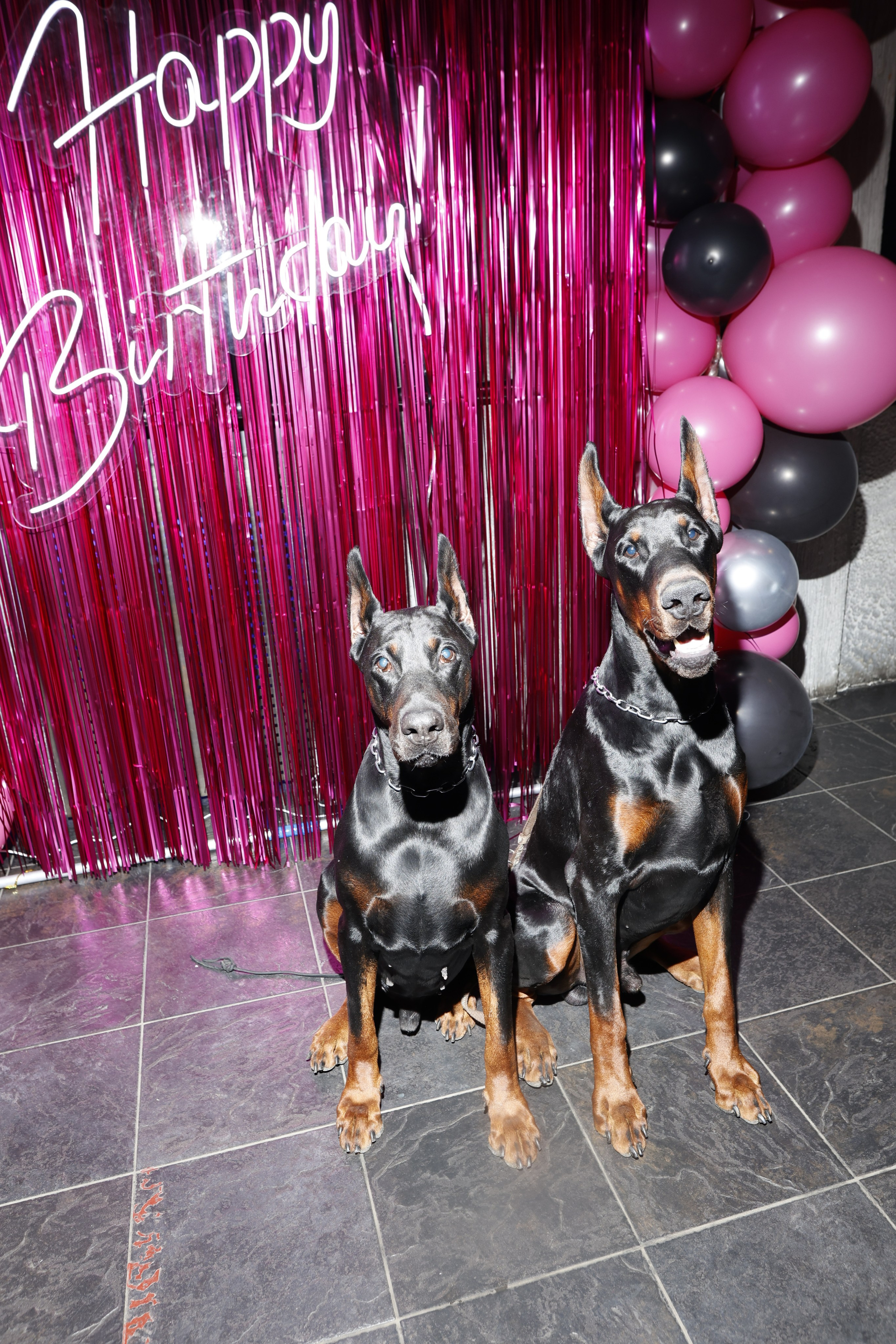 ЮЛЯ ГАВРИЛИНА. Nikolskayasecular