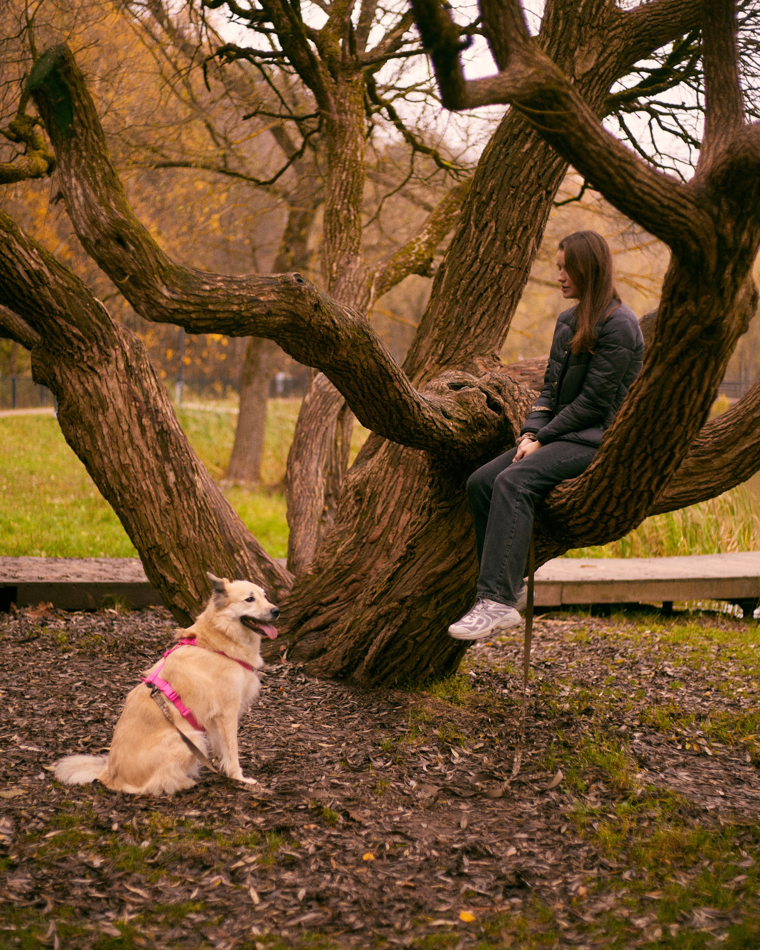 С животными. Главная