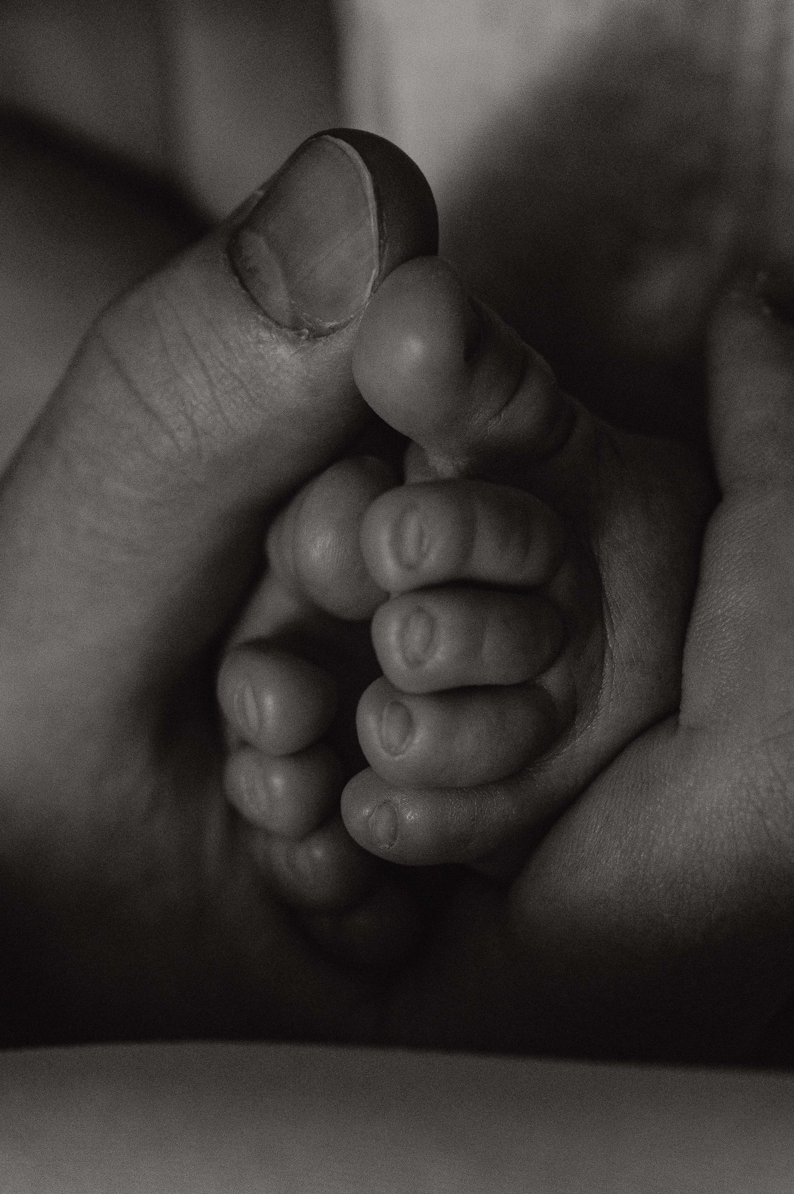 Иван, Ксения и Лев. Фотограф беременности и семьи, домашние съемки, Ньюборн