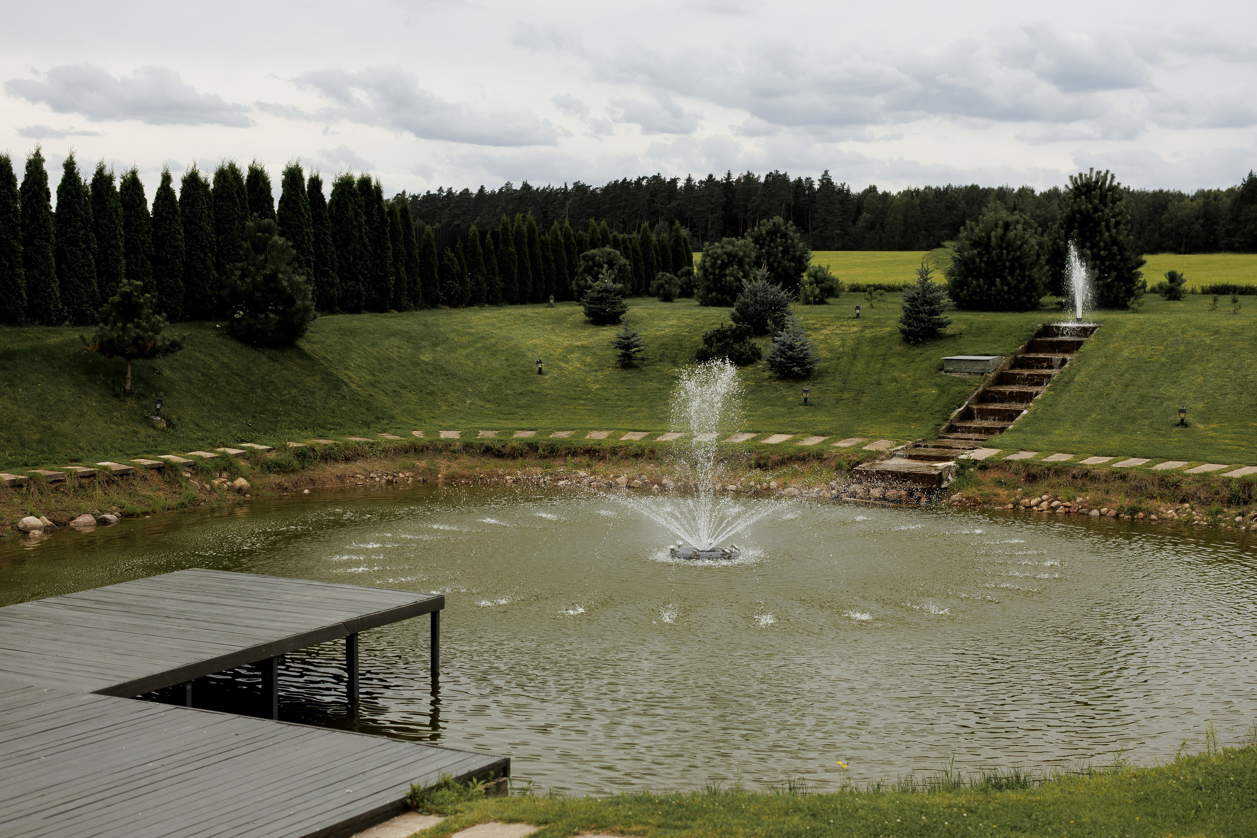 Кирилл & Анастасия. Организатор- Елена Гаманович. Главная