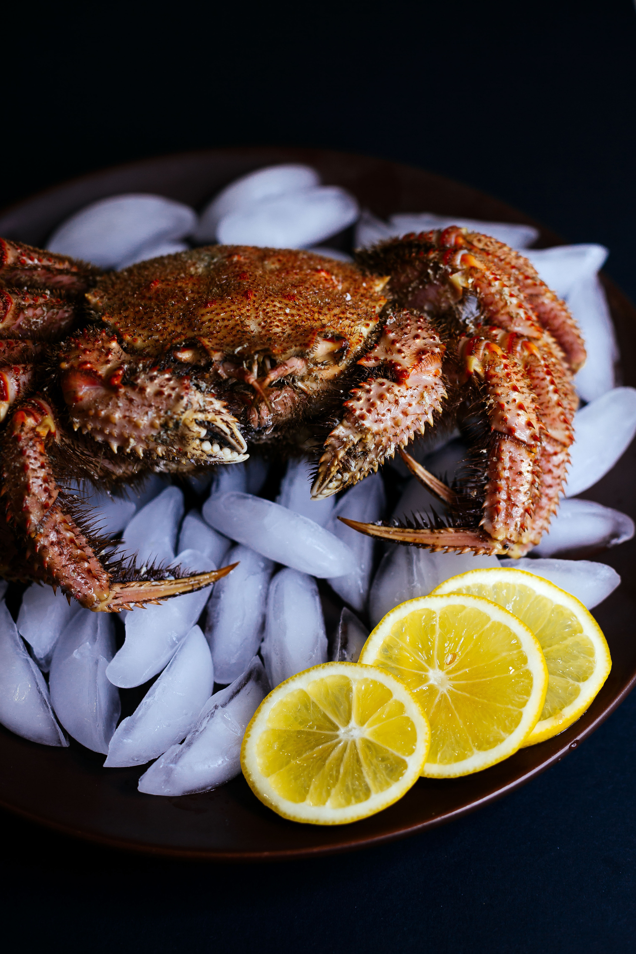 Для кафе и ресторанов. Евгения Мартынова фотограф в Курске и Орле