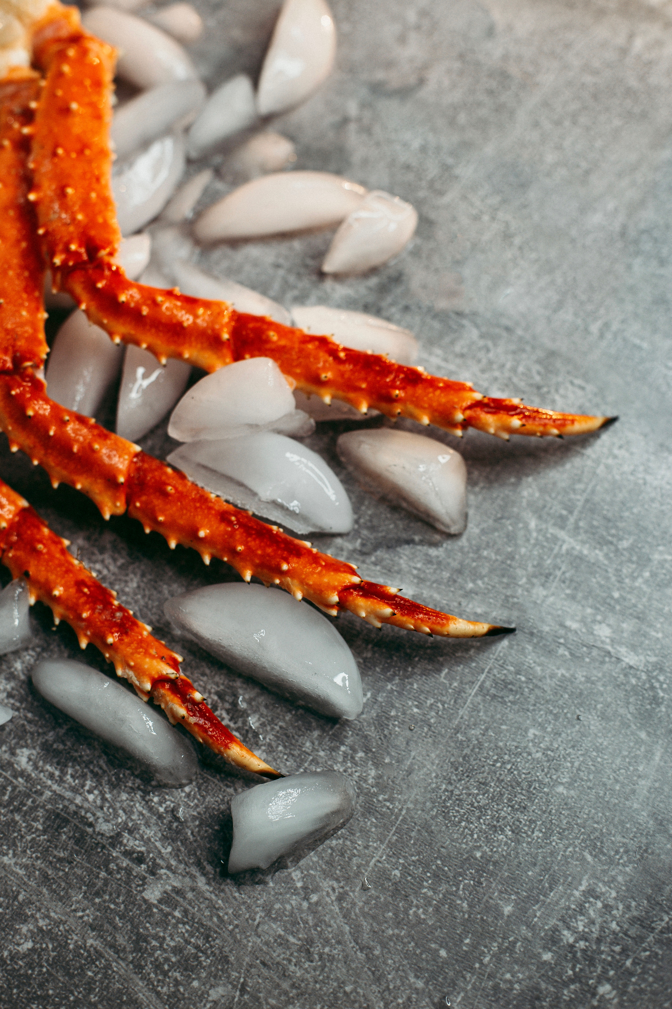 Для кафе и ресторанов. Евгения Мартынова фотограф в Курске и Орле