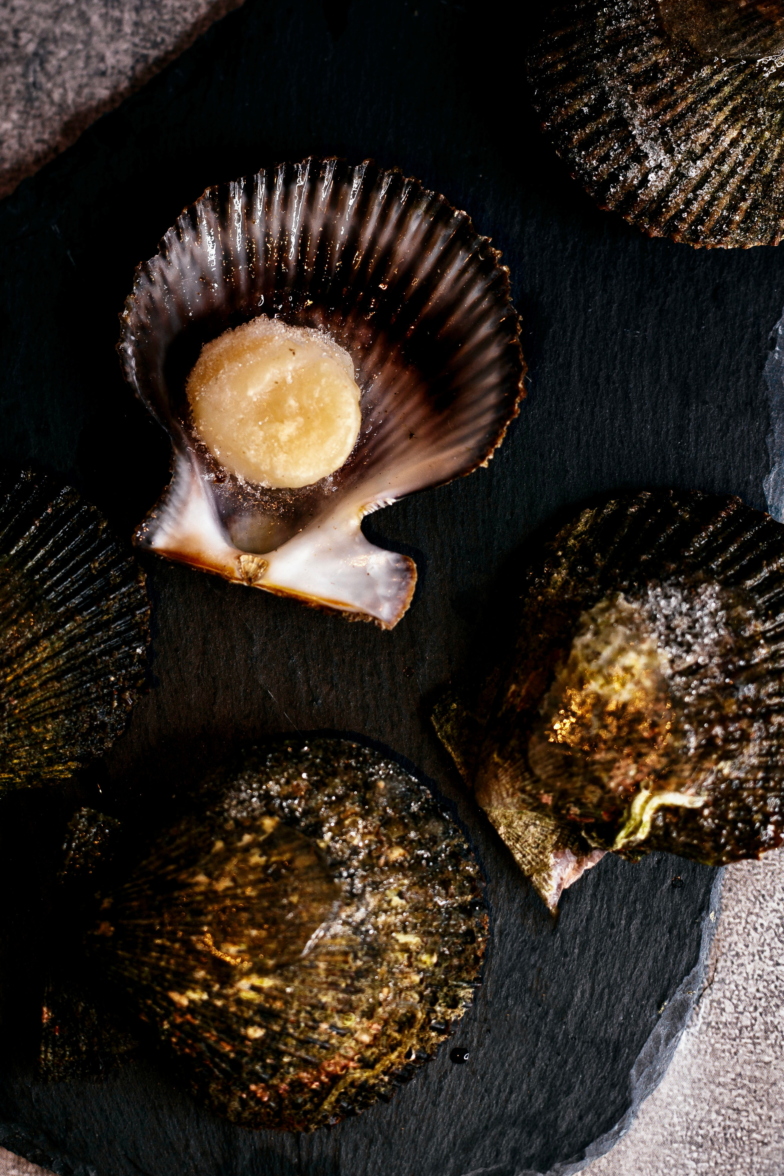 Для кафе и ресторанов. Евгения Мартынова фотограф в Курске и Орле