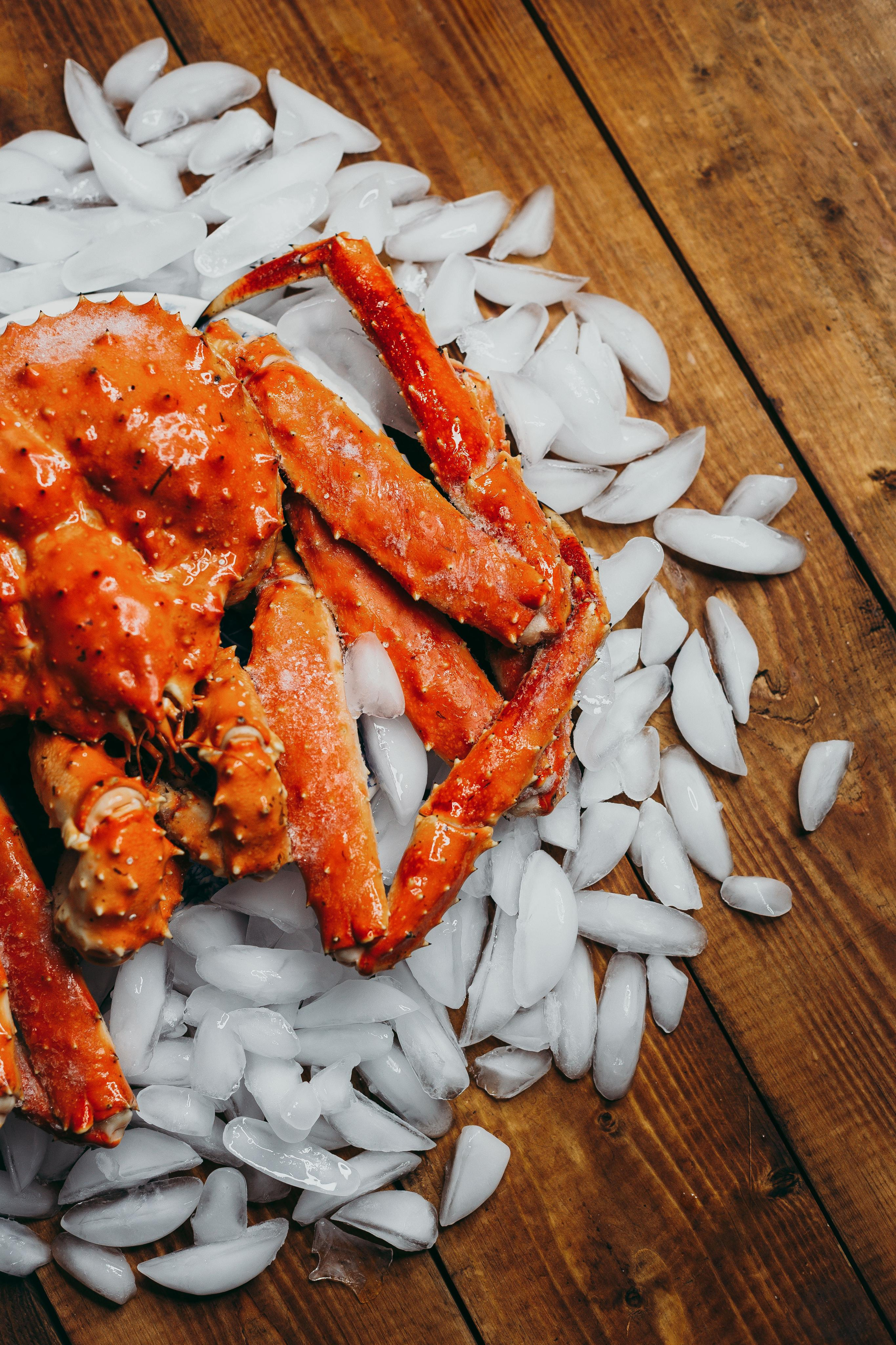 Для кафе и ресторанов. Евгения Мартынова фотограф в Курске и Орле