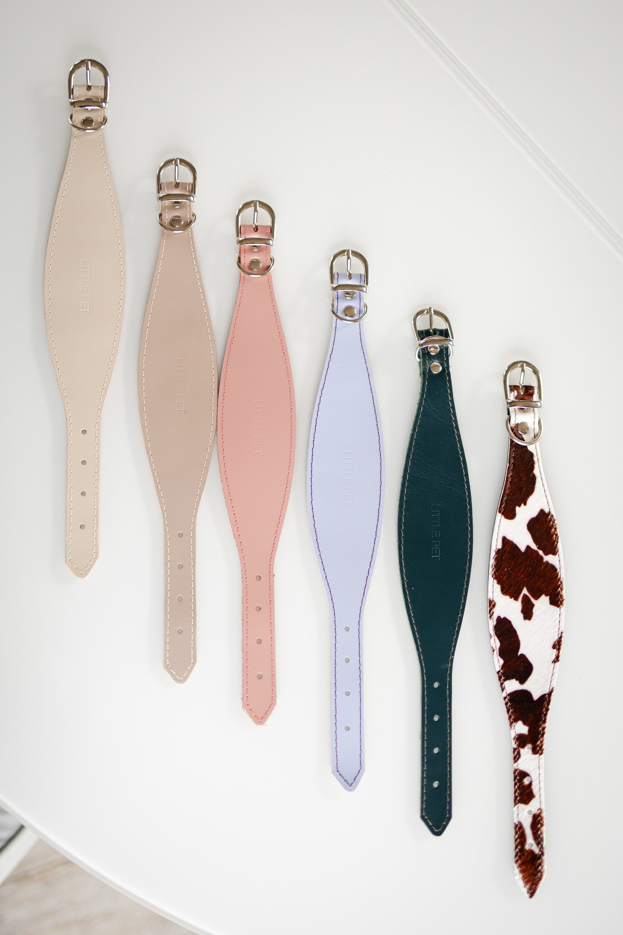 Прогулки. Профессиональный питомник левреток РКФ/FCI ASTI SAPPHIRE 💎 Сочи|Санкт-Петербург