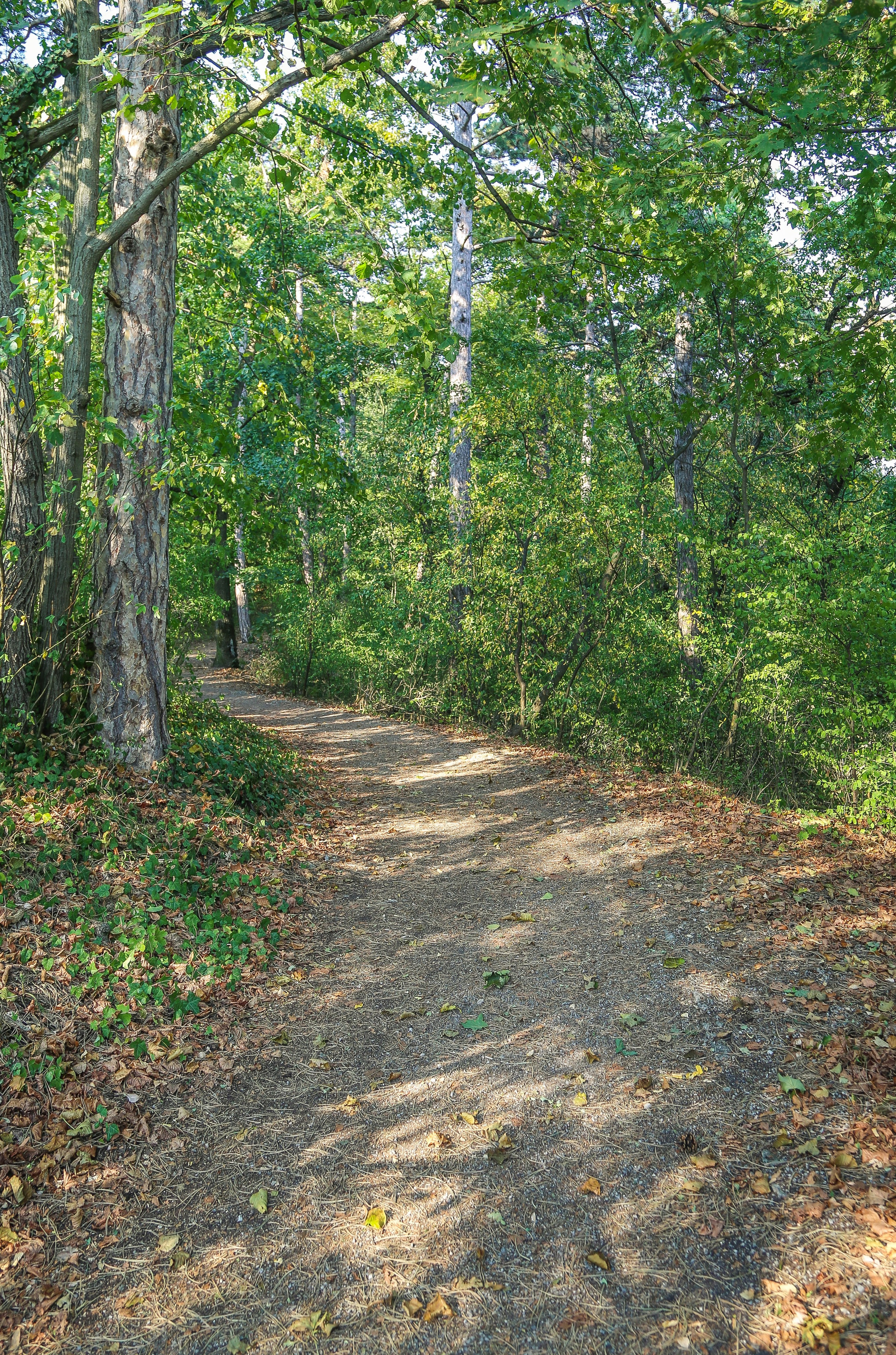 Австрия: Баден. Дарья Письменюк / Darya Leitstern — фотограф, музыкант, журналист, путешественник