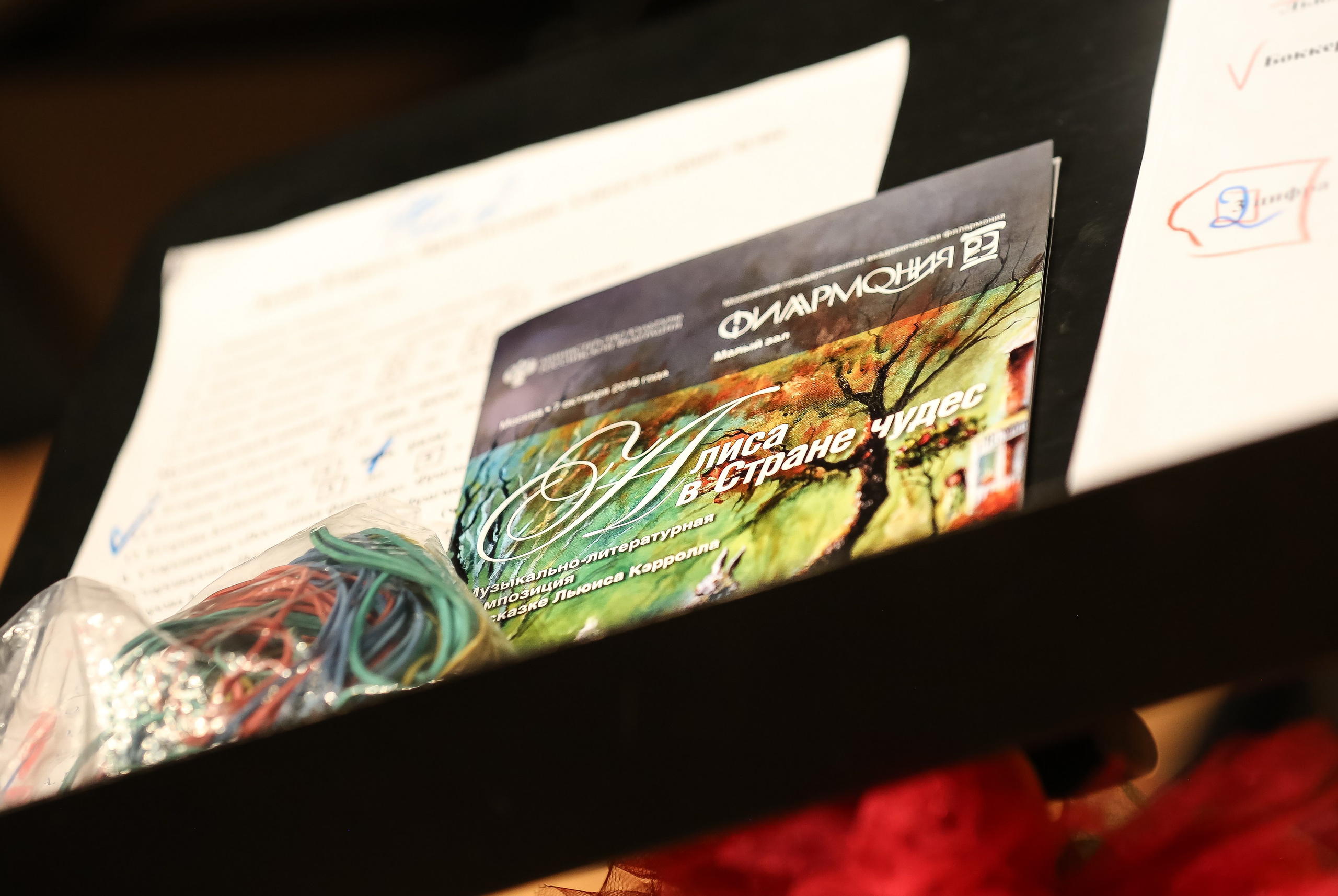 «Алиса в стране чудес» в Филармонии-2. Дарья Письменюк / Darya Leitstern — фотограф, музыкант, журналист, путешественник