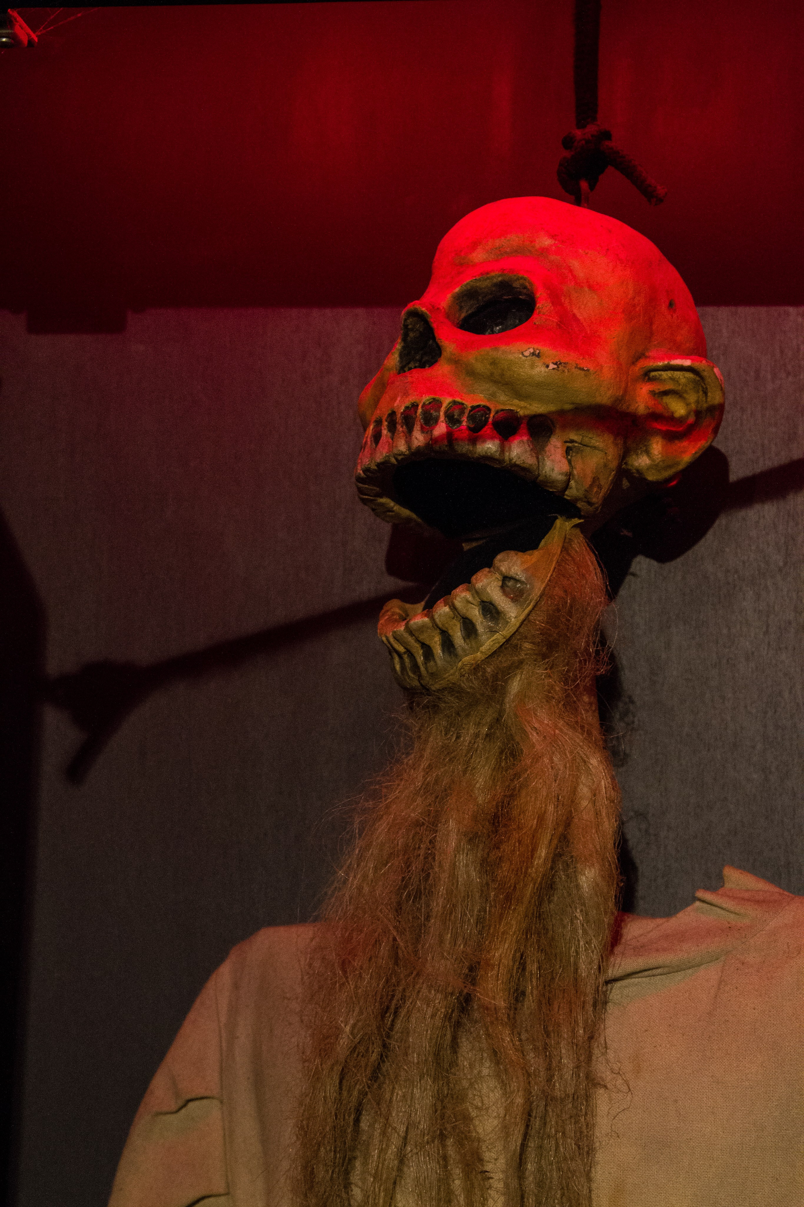 Австрия: Зальцбург. Дарья Письменюк / Darya Leitstern — фотограф, музыкант, журналист, путешественник