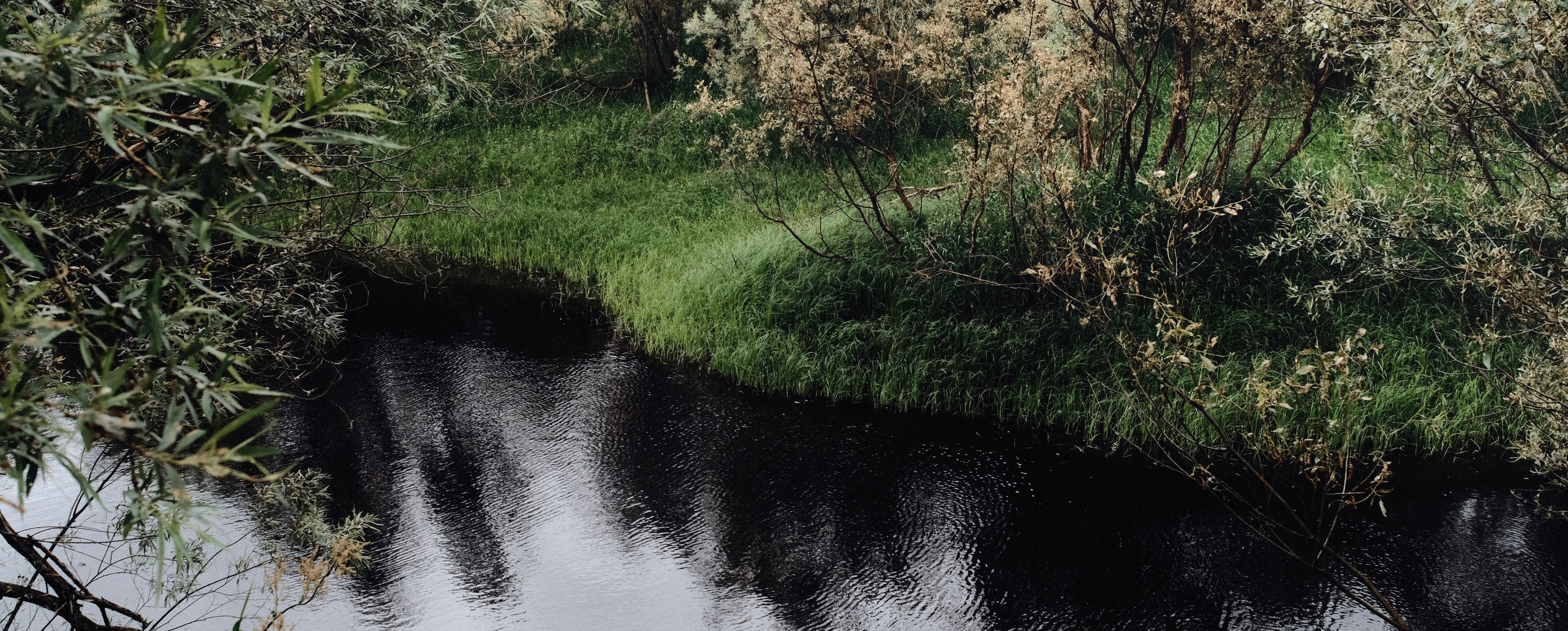 Пейзажи. Фотограф-любитель из Кирова Андрей Погребняк