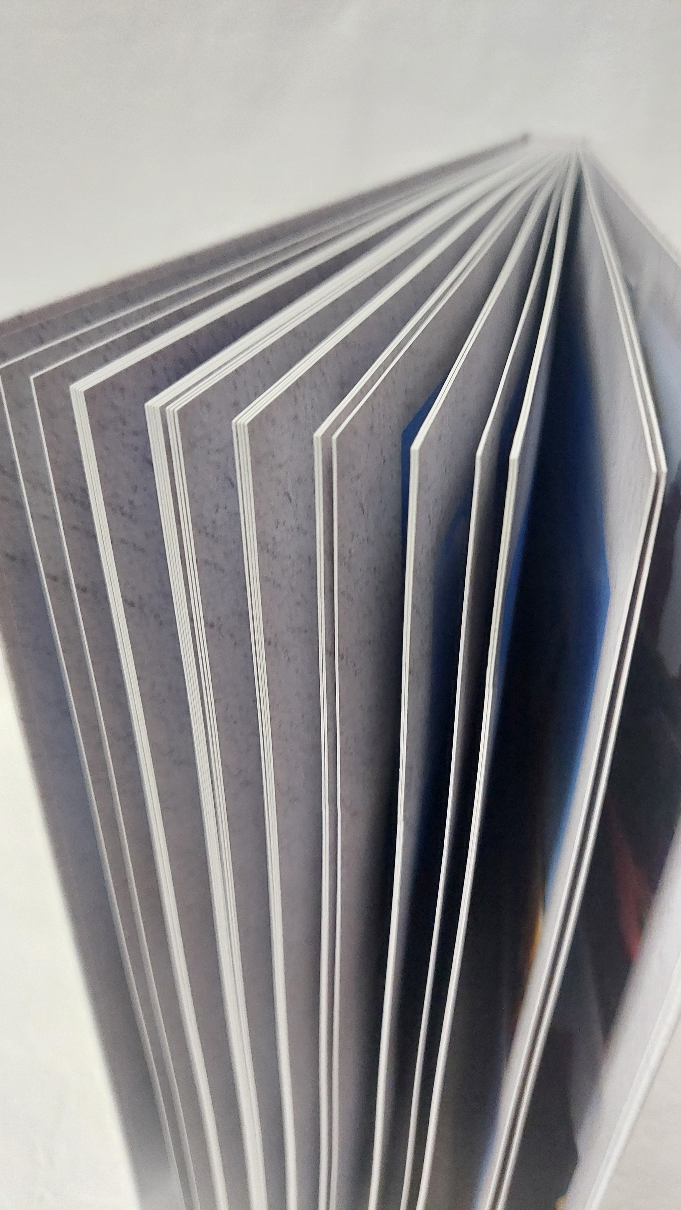 Московская Сага. Прогулка на катере. Fotounata.ru