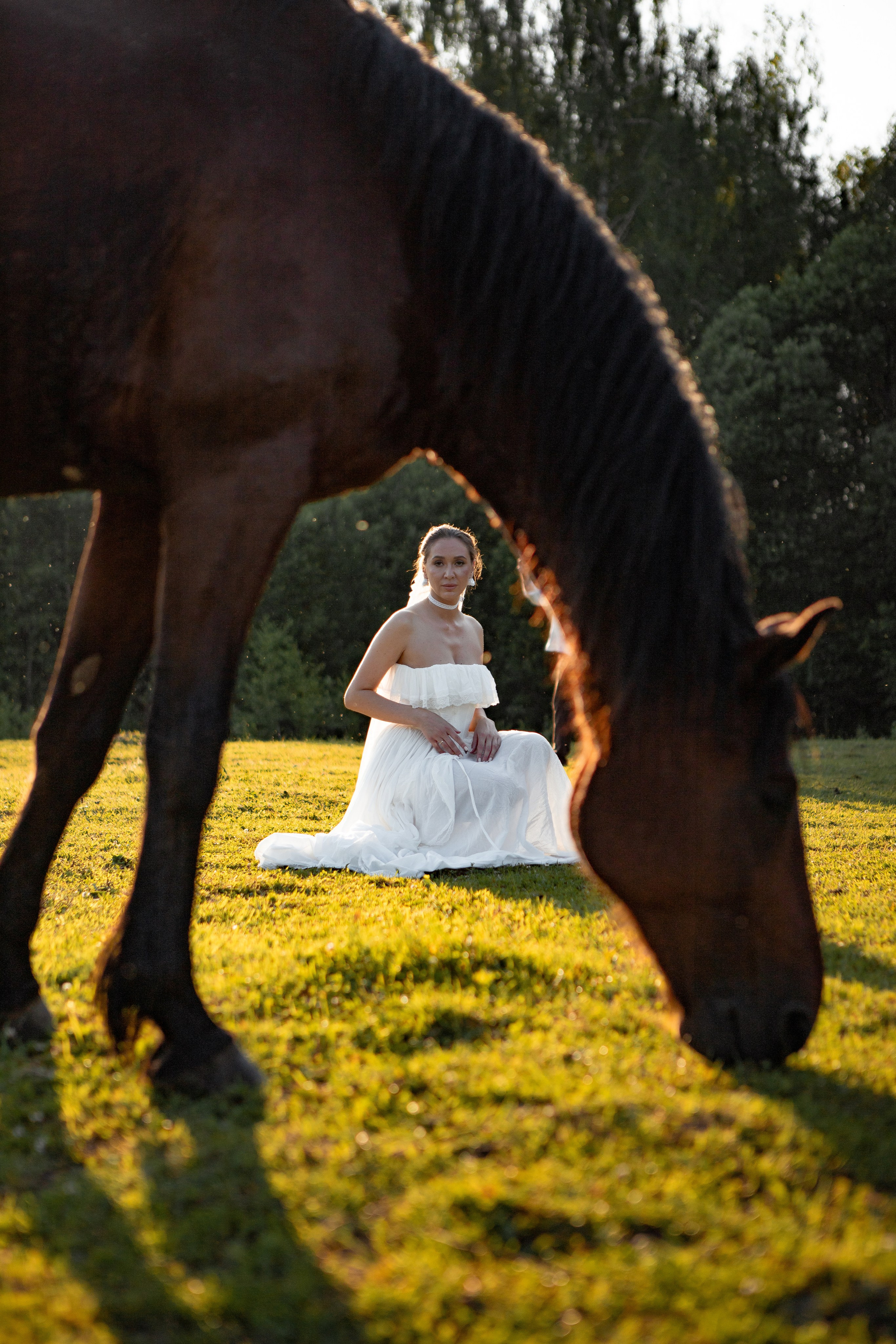Необычная свадебная фотосессия в Москве с лошадьми