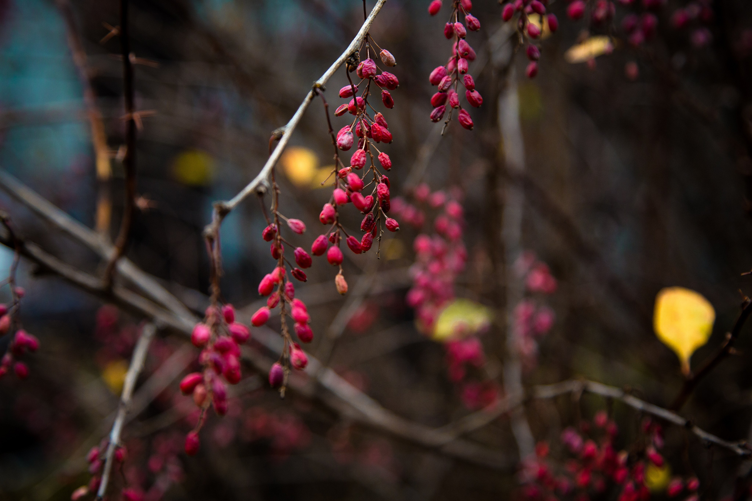 Старый Оренбург. Ваш фотограф в Оренбурге Рощупкина Екатерина