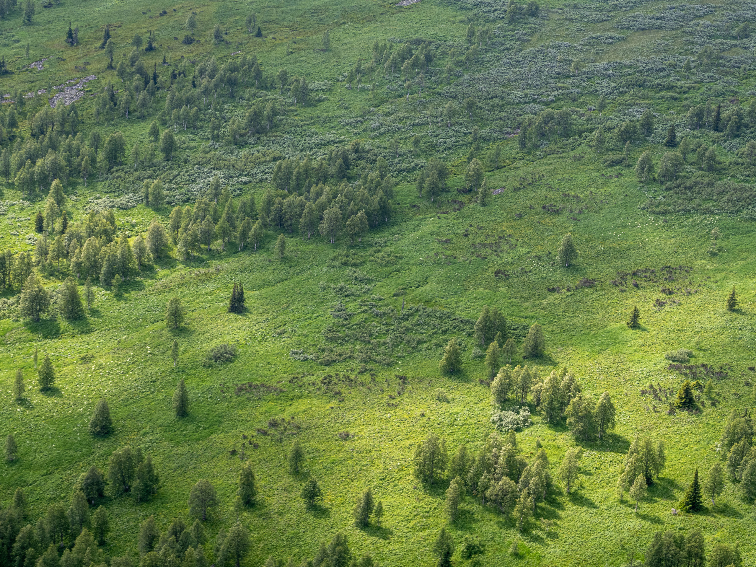 Перевал Дятлова, Ворота Отортена. Творческие сьемки