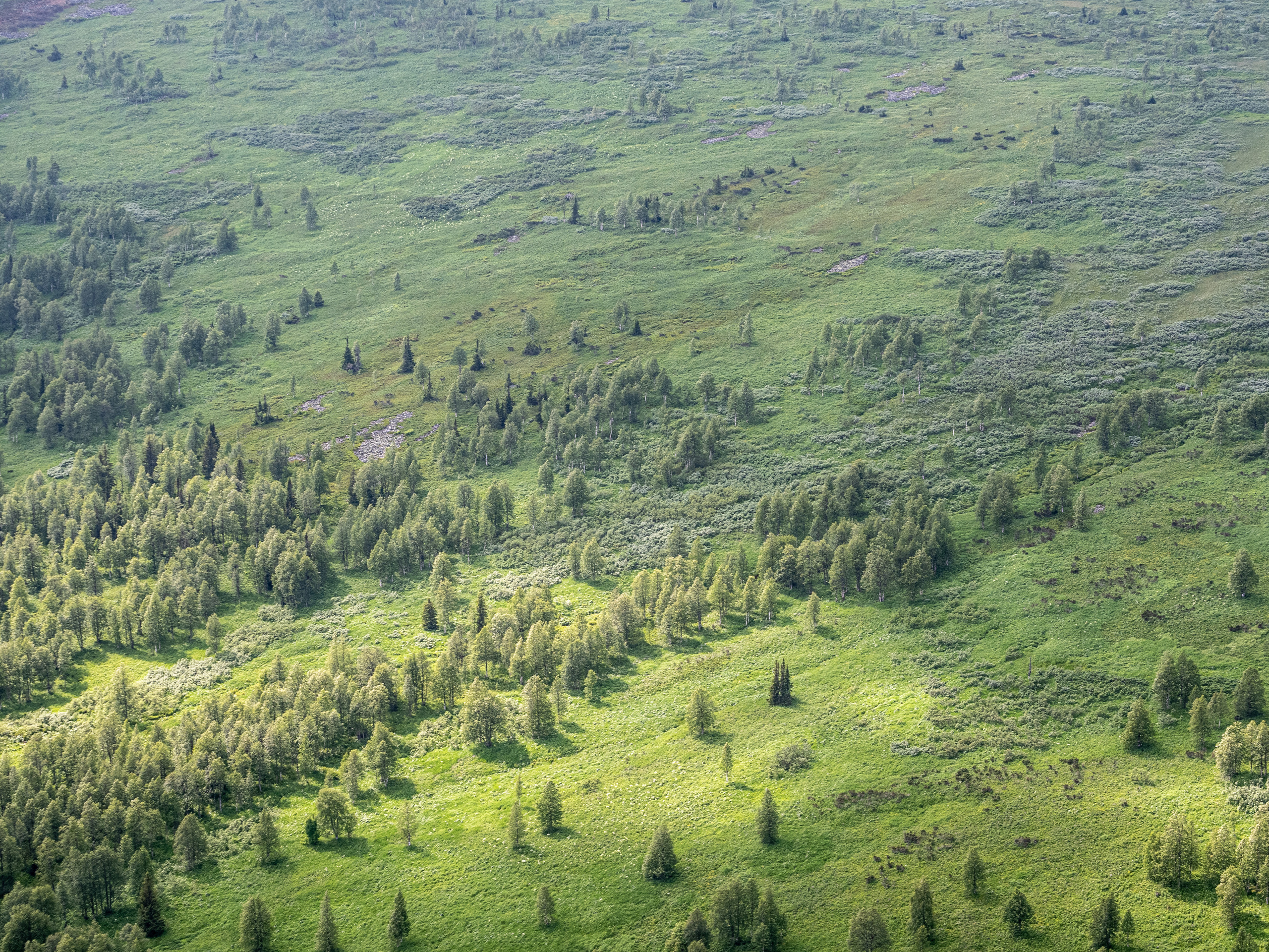 Перевал Дятлова, Ворота Отортена. Творческие сьемки
