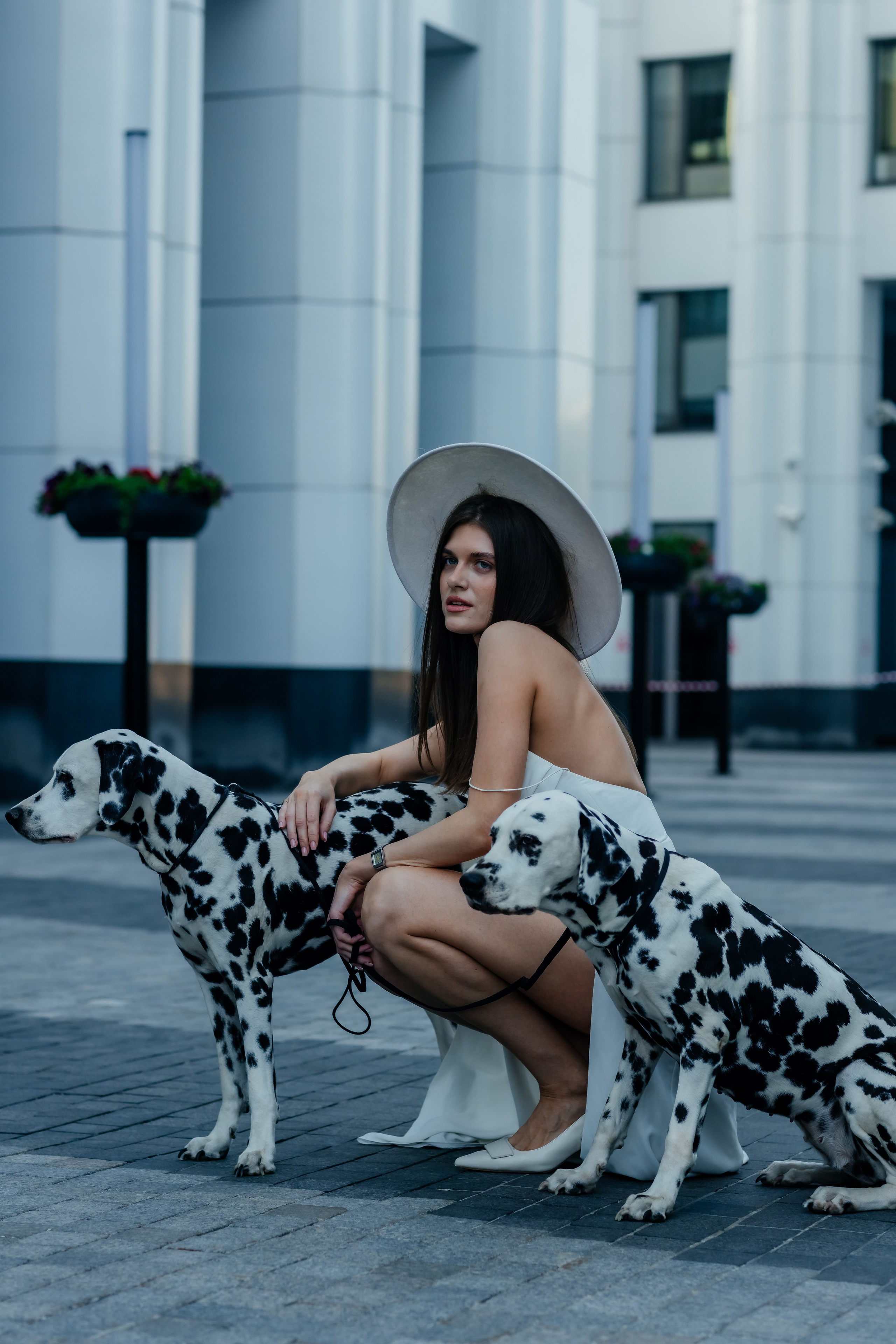 Новая Круэлла Девиль в действии. Свадебный фотограф в Москве