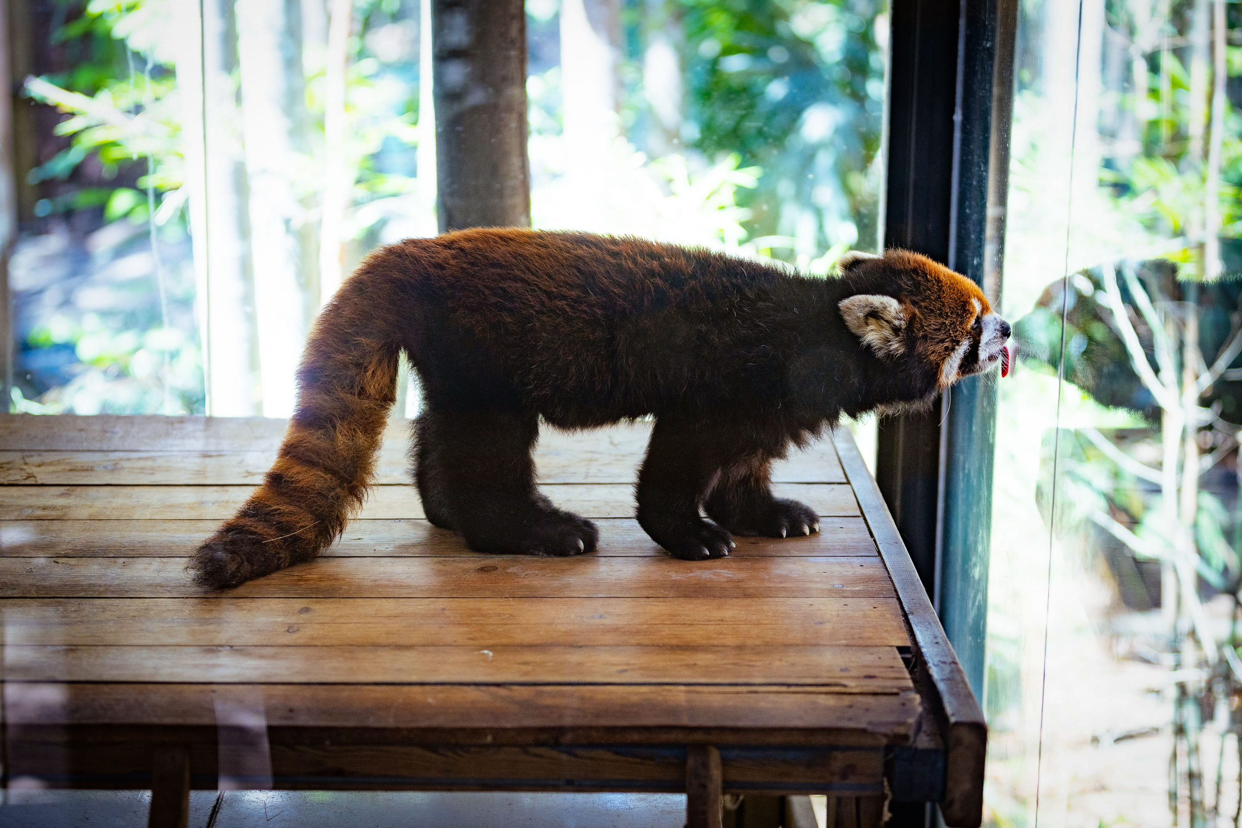 Таиланд (зима 2025). Фотограф Виноградов Константин