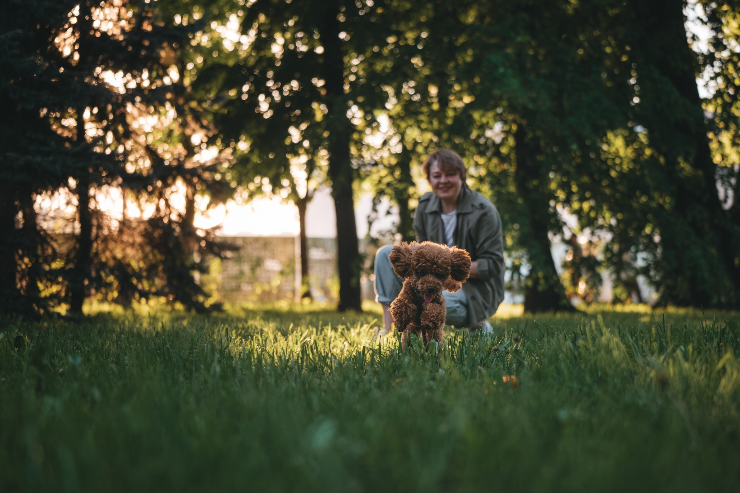 Юля с пуделем. Фотограф Анималист в Москве Анастасия Жучкова