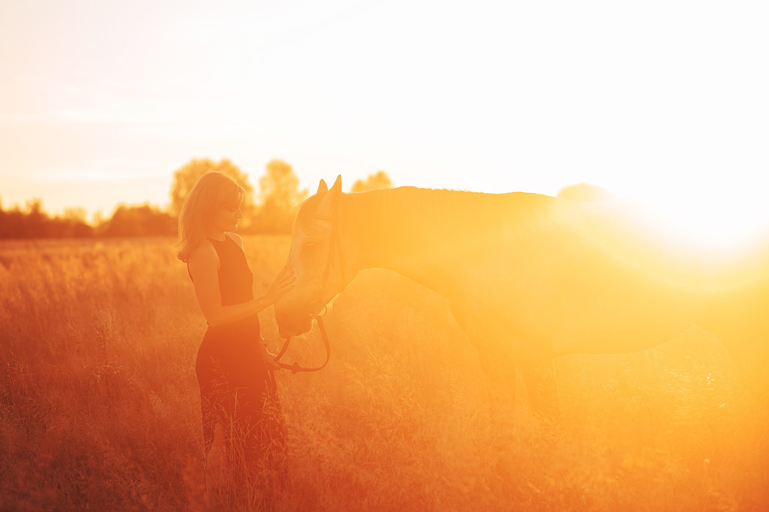 Аня и Дакар — 06.09.2024. Фотограф — Анималист | Анна Абрамова