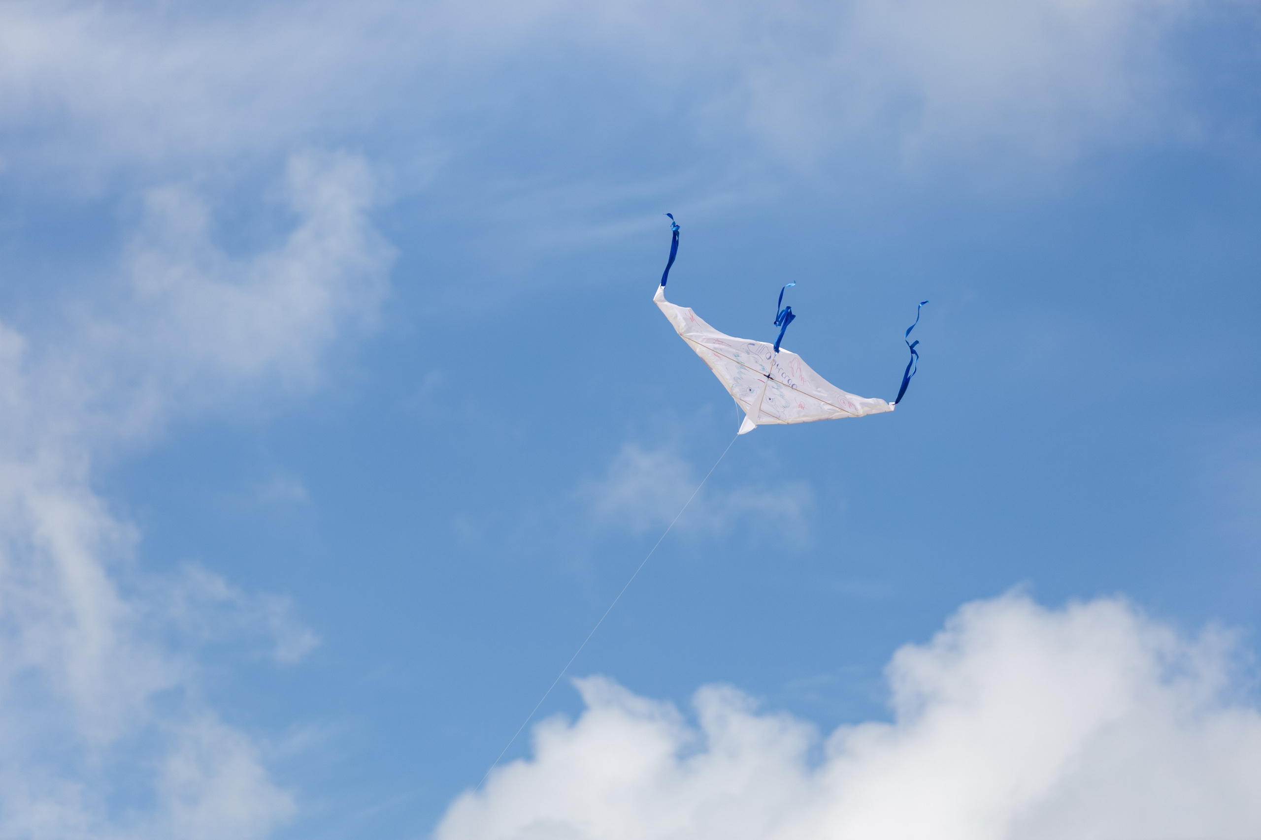 ЭФКО. СЛЁТ ЛИДЕРОВ РАБОЧЕГО АКТИВА. ДЕНЬ 2. Репортажный фотограф Анапа