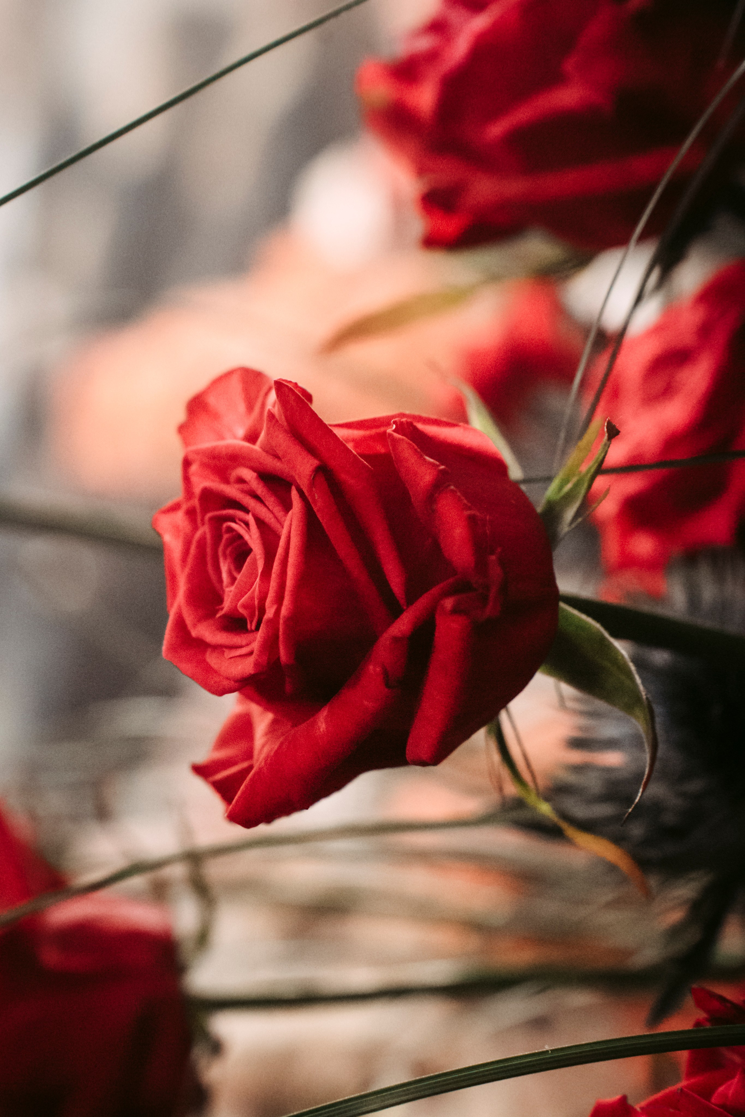 Цветочный андеграунд. Главная