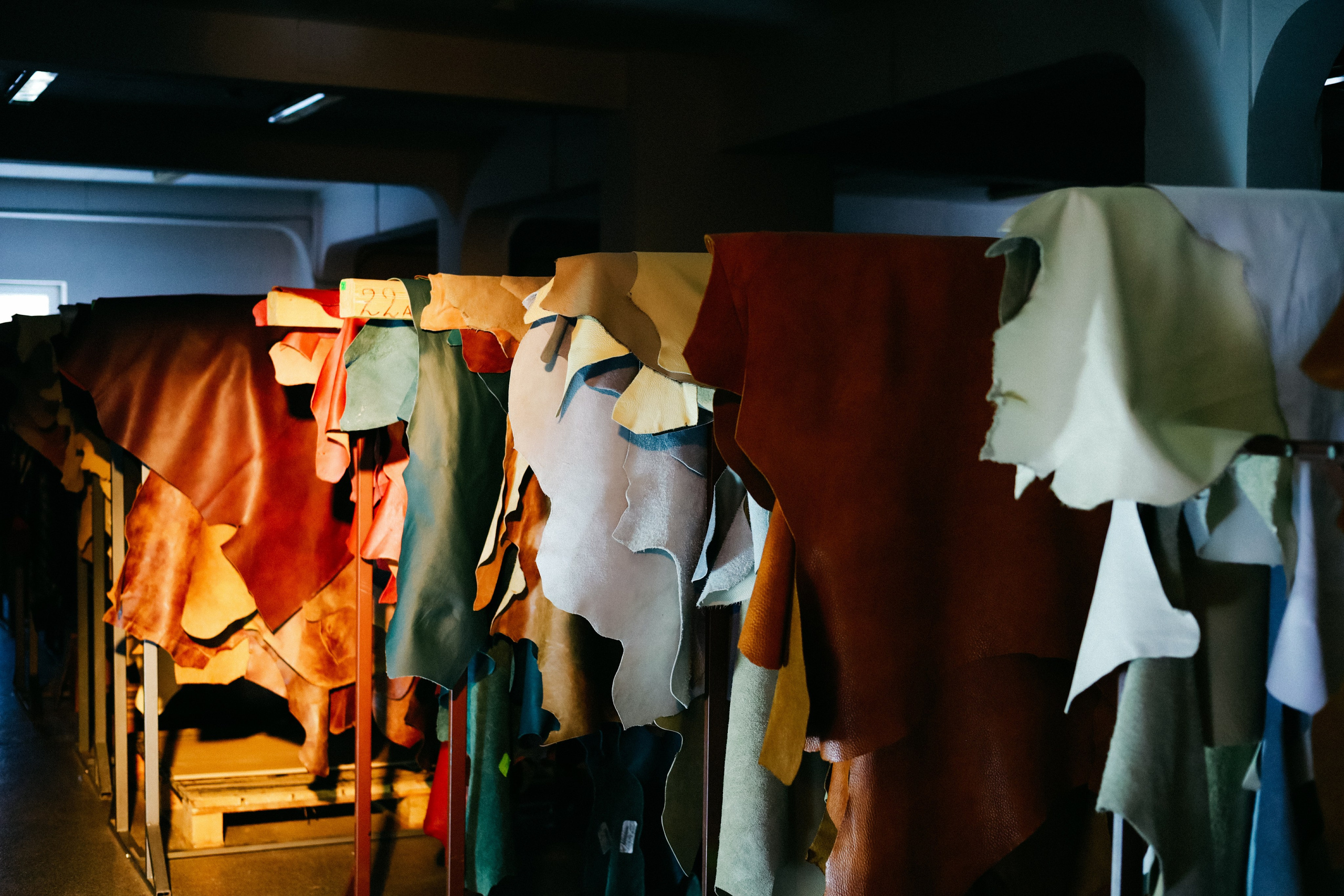 BACCI. Фотограф в Калининграде