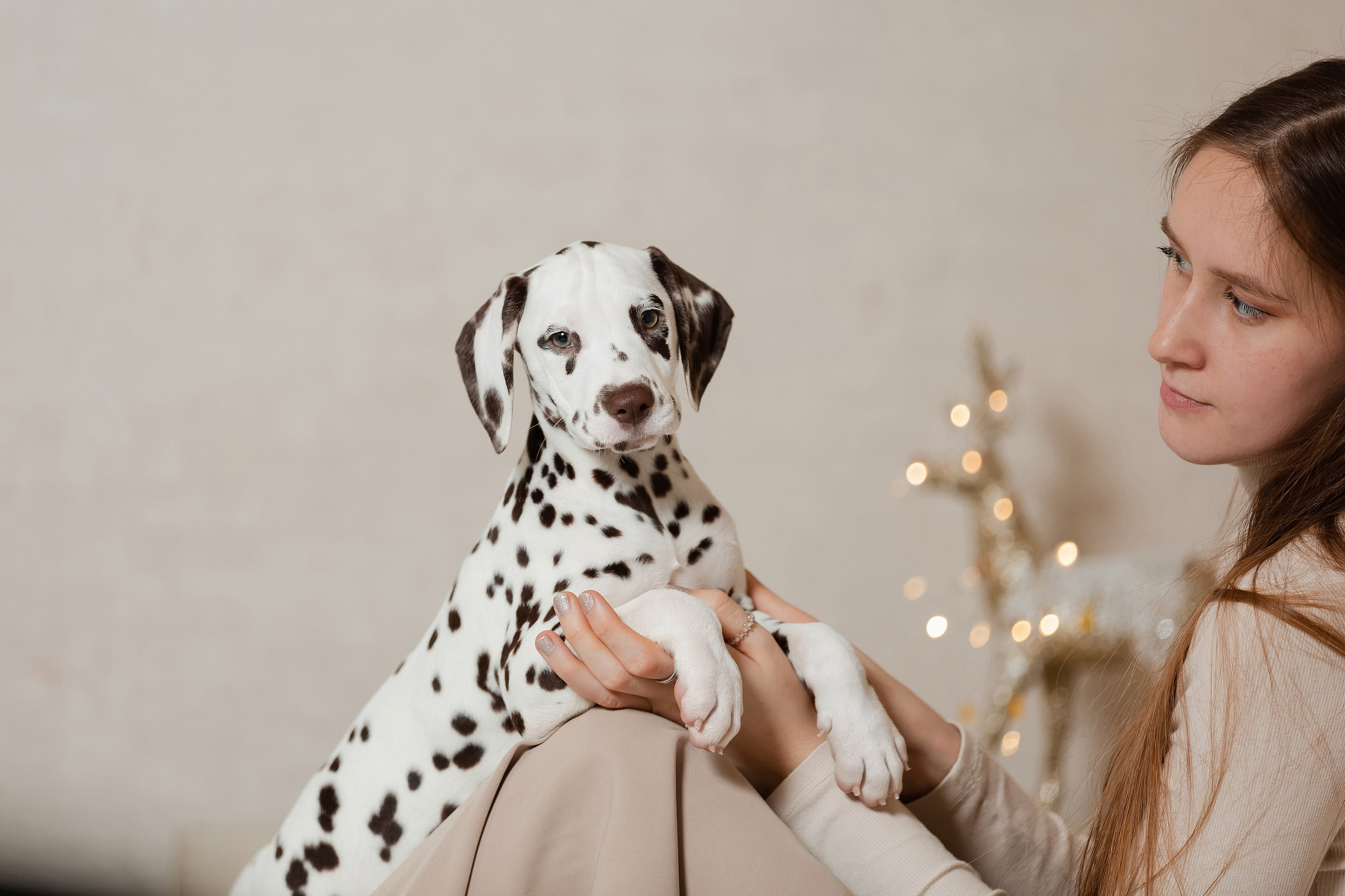 Далматины на ручках у девушки. Фотограф-анималист в Краснодаре Маша Мельникова