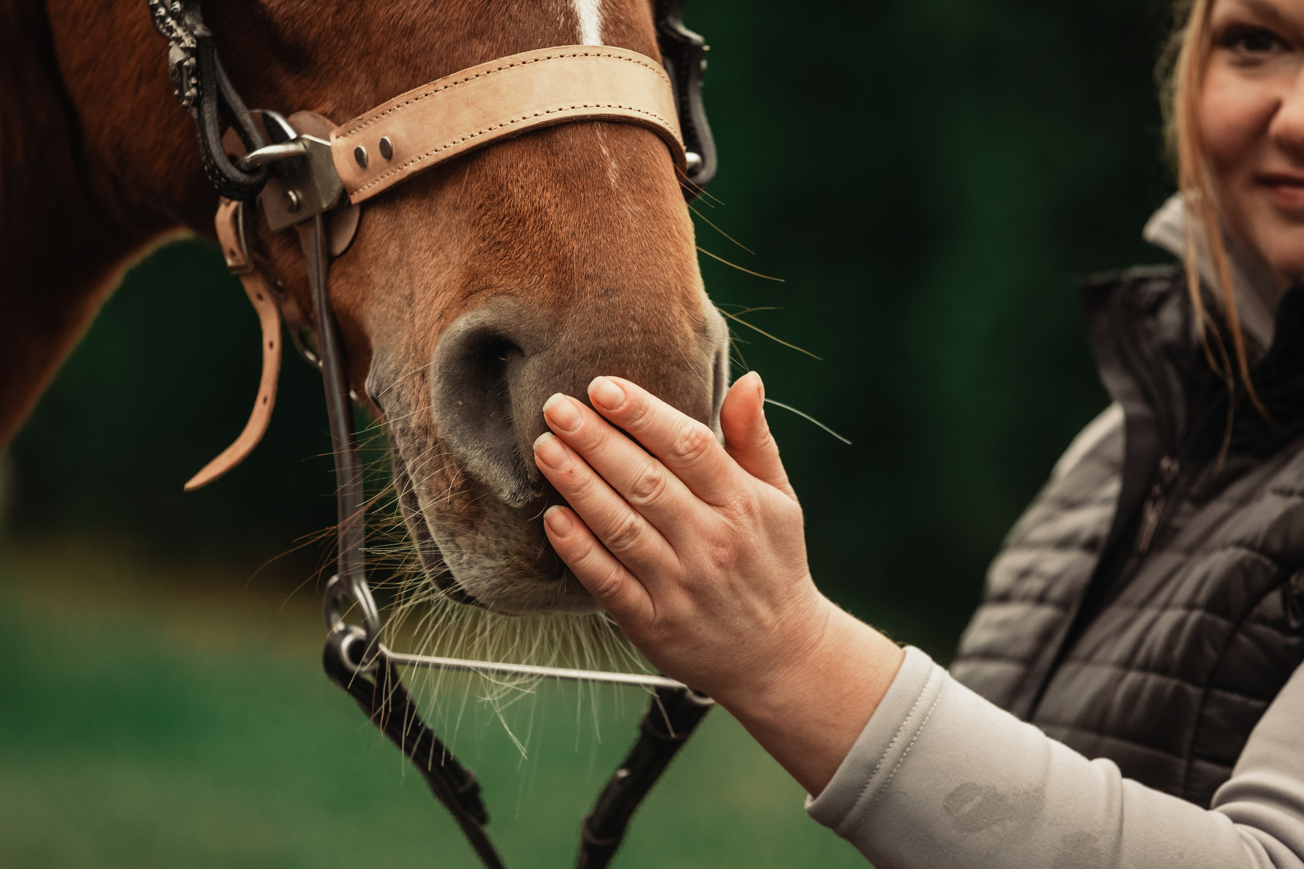 Лена и Рэджи. Фотограф-анималист Татьяна Степанова