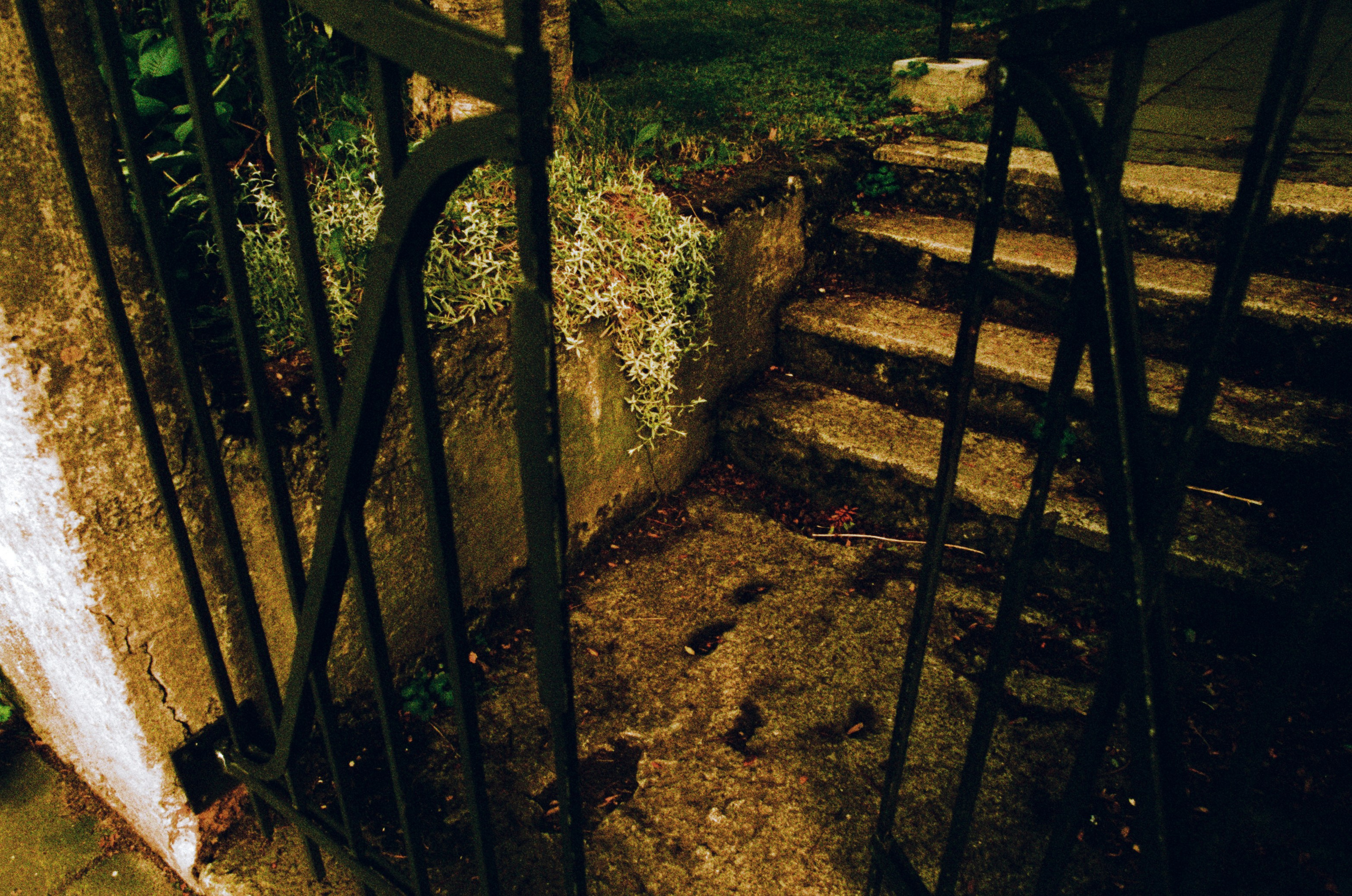 Run no more // iceland, reykjavik III. EVER EXPOSED