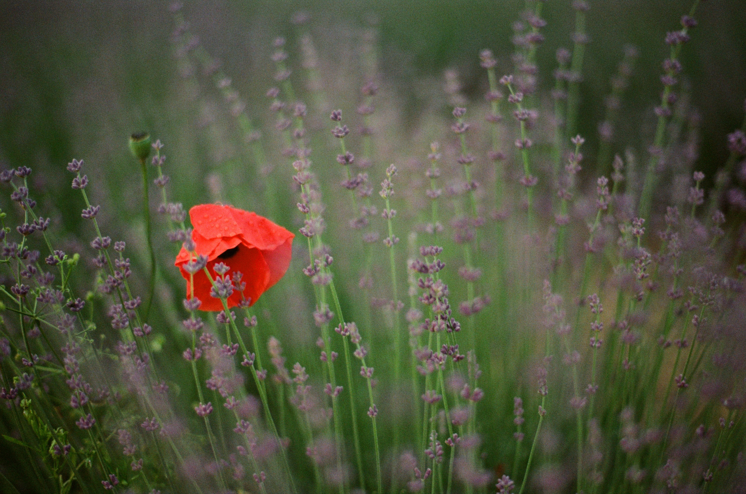 This time // ukraine, crimea II. EVER EXPOSED