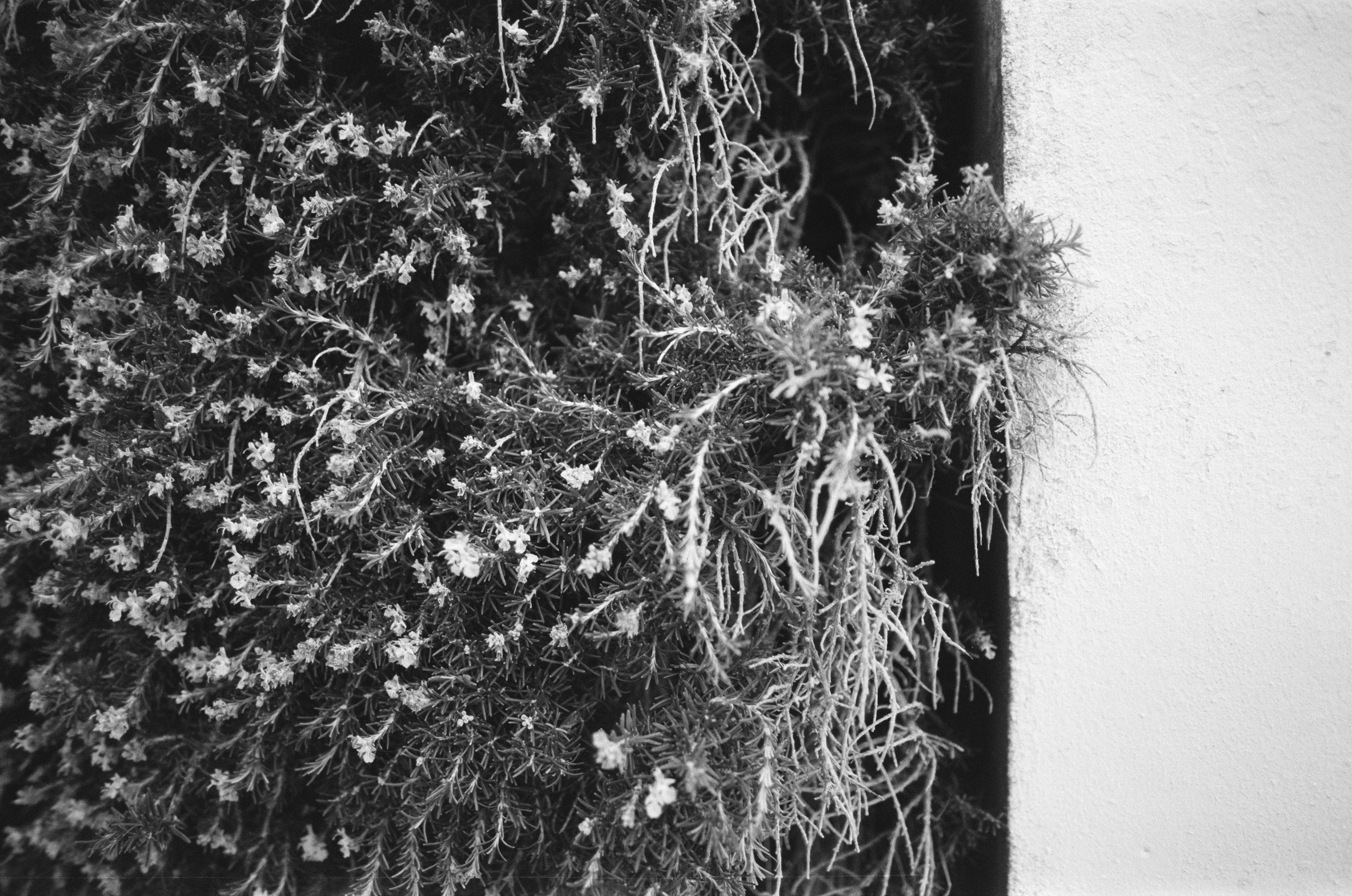 The world is flat // corsica, bonifacio III. EVER EXPOSED