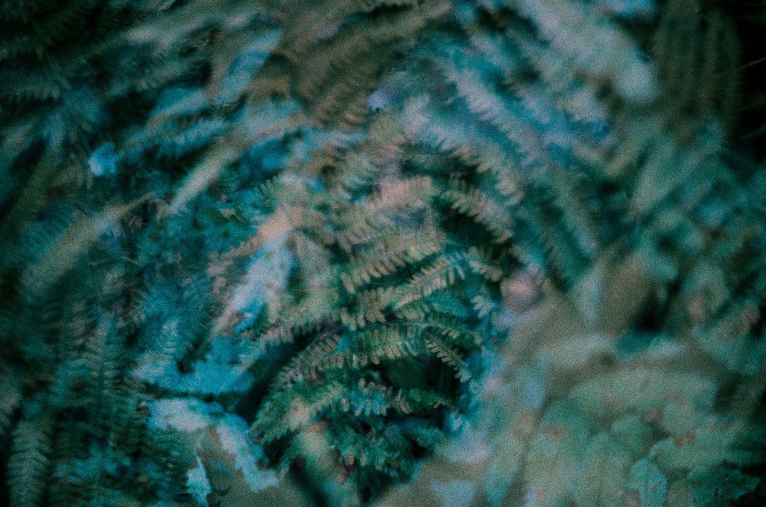 Post blue. EVER EXPOSED