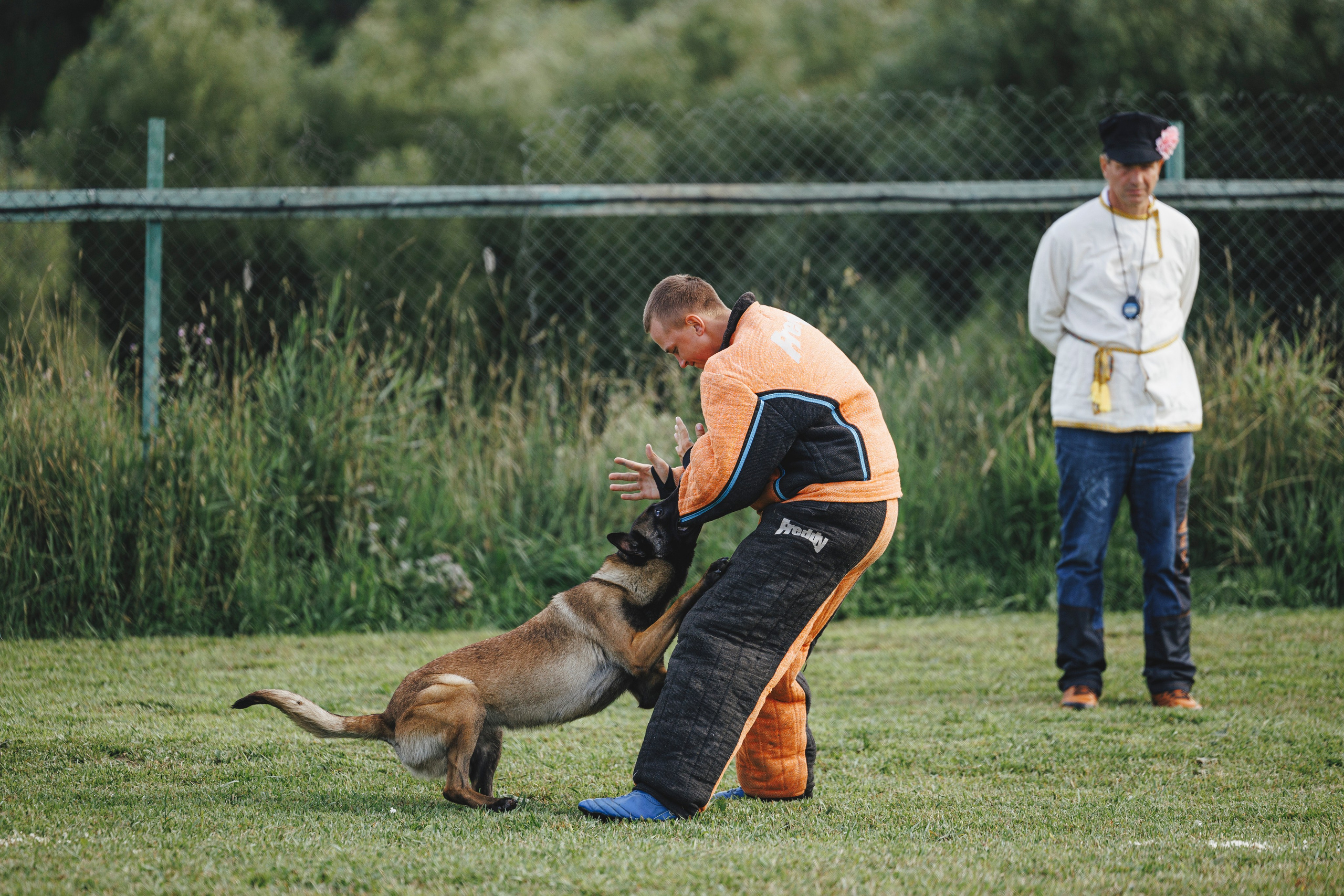 08.08.25-10.08.25 ЧР по мондьорингу г. Вологда. Фотограф-анималист Анна Маринич