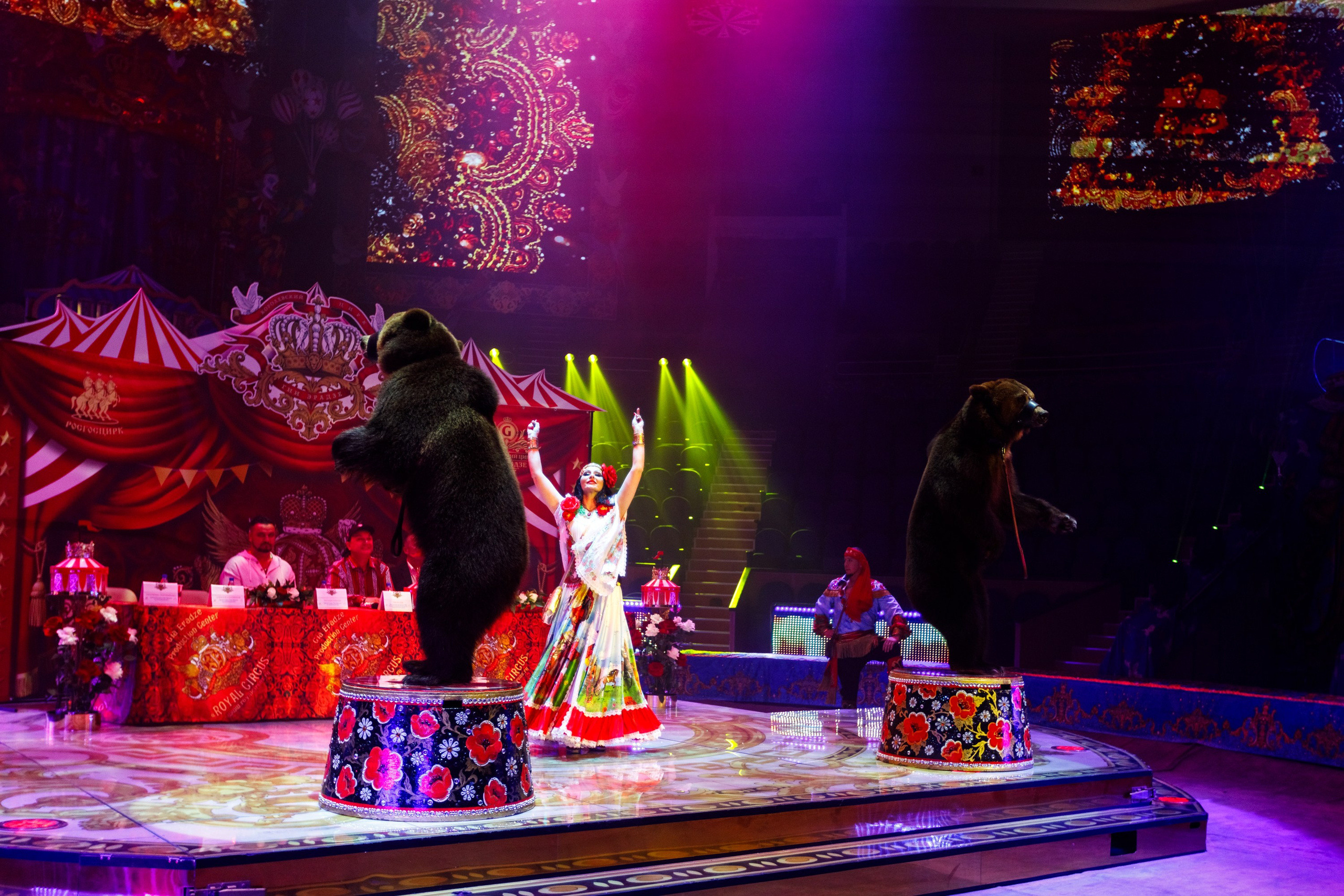 Сочинский росгорцирк Шоу Гии Эрадзе цирк. Профессиональный фотограф в Сочи Виктория Джой. Обучение