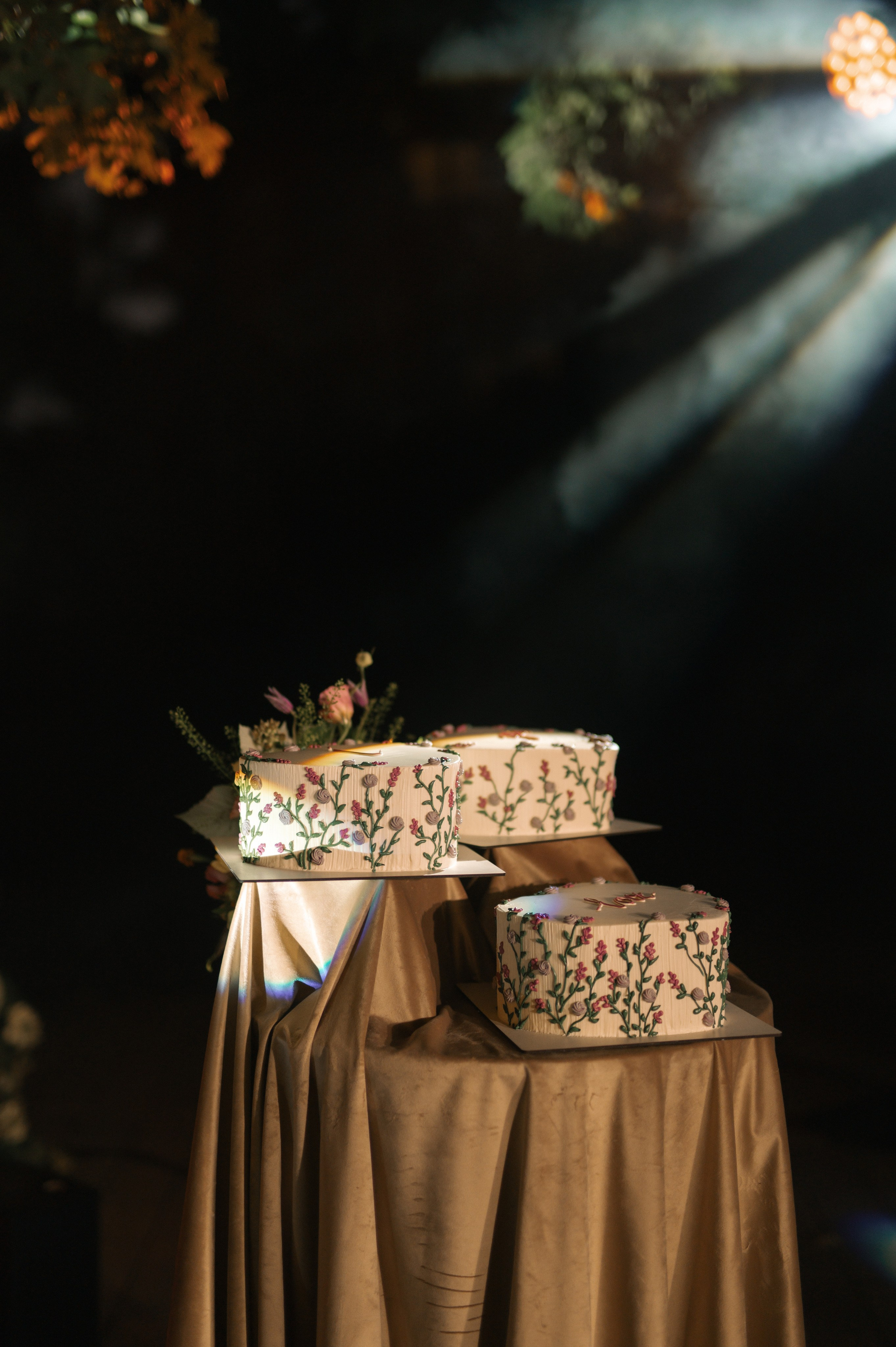 Фотограф: Саша Родина