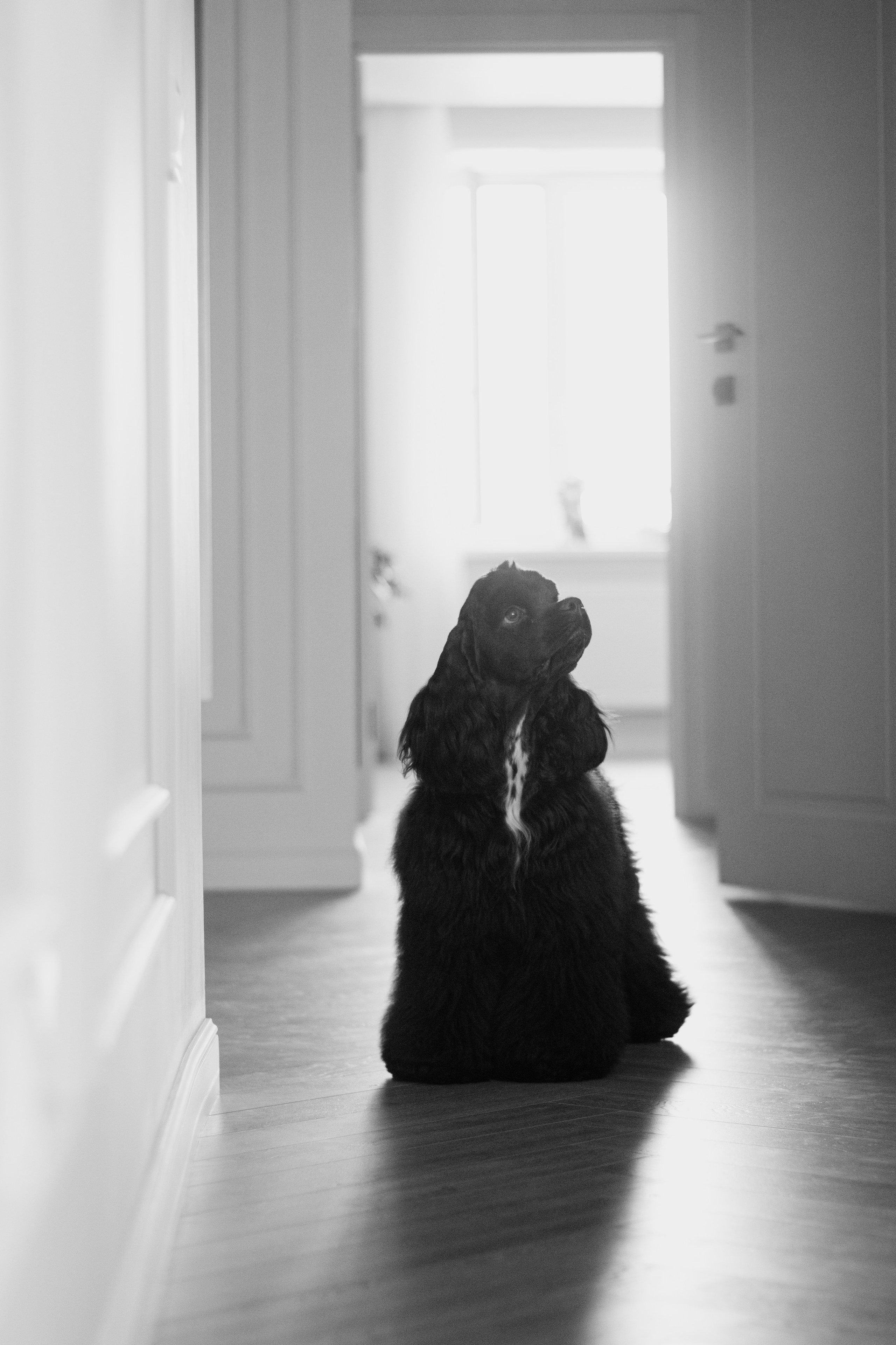 Лера и Анри. Фотограф в Тюмени Лизавета Сапицкая