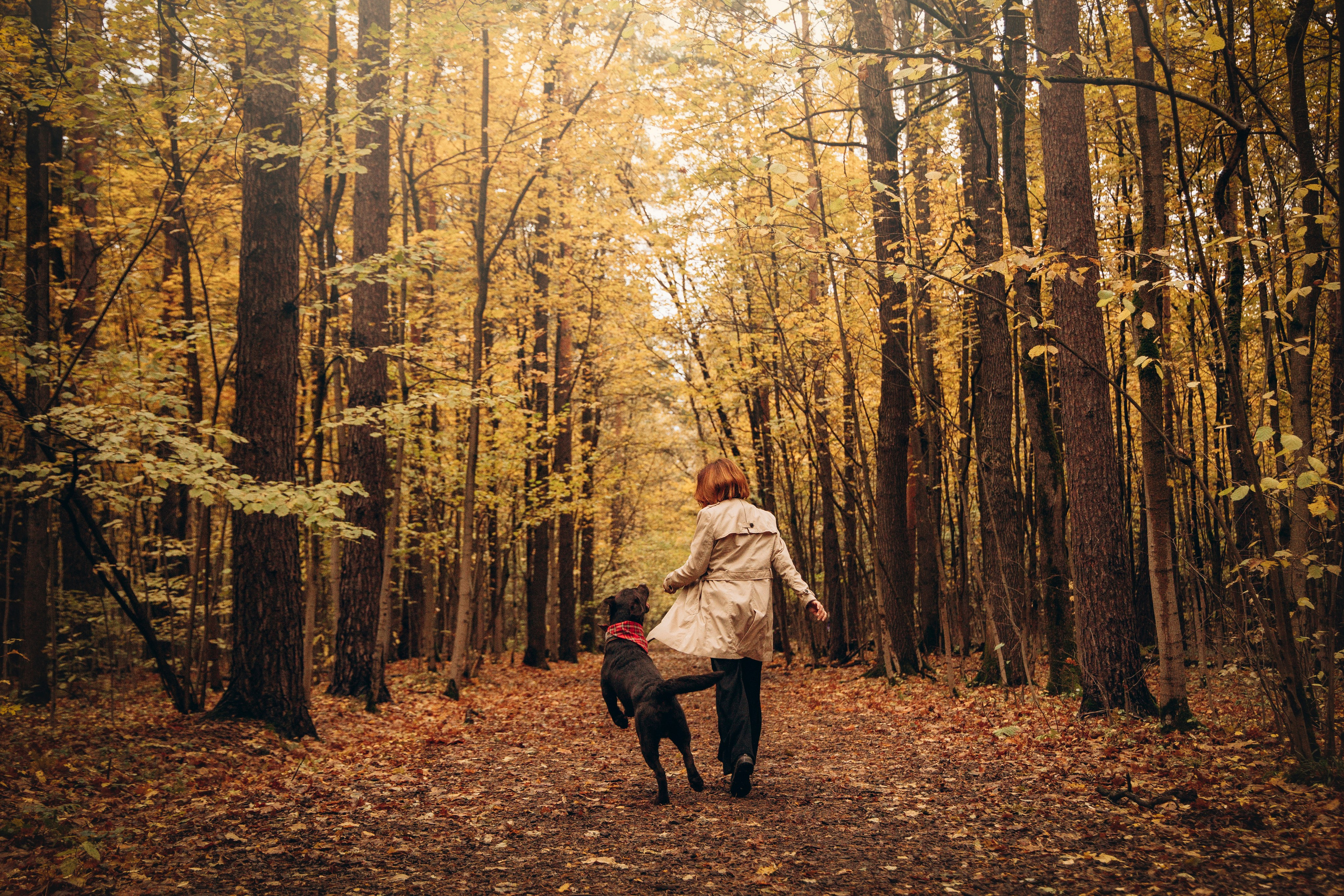 Арина и Сэмми. Фотограф — Анималист | Санкт-Петербург