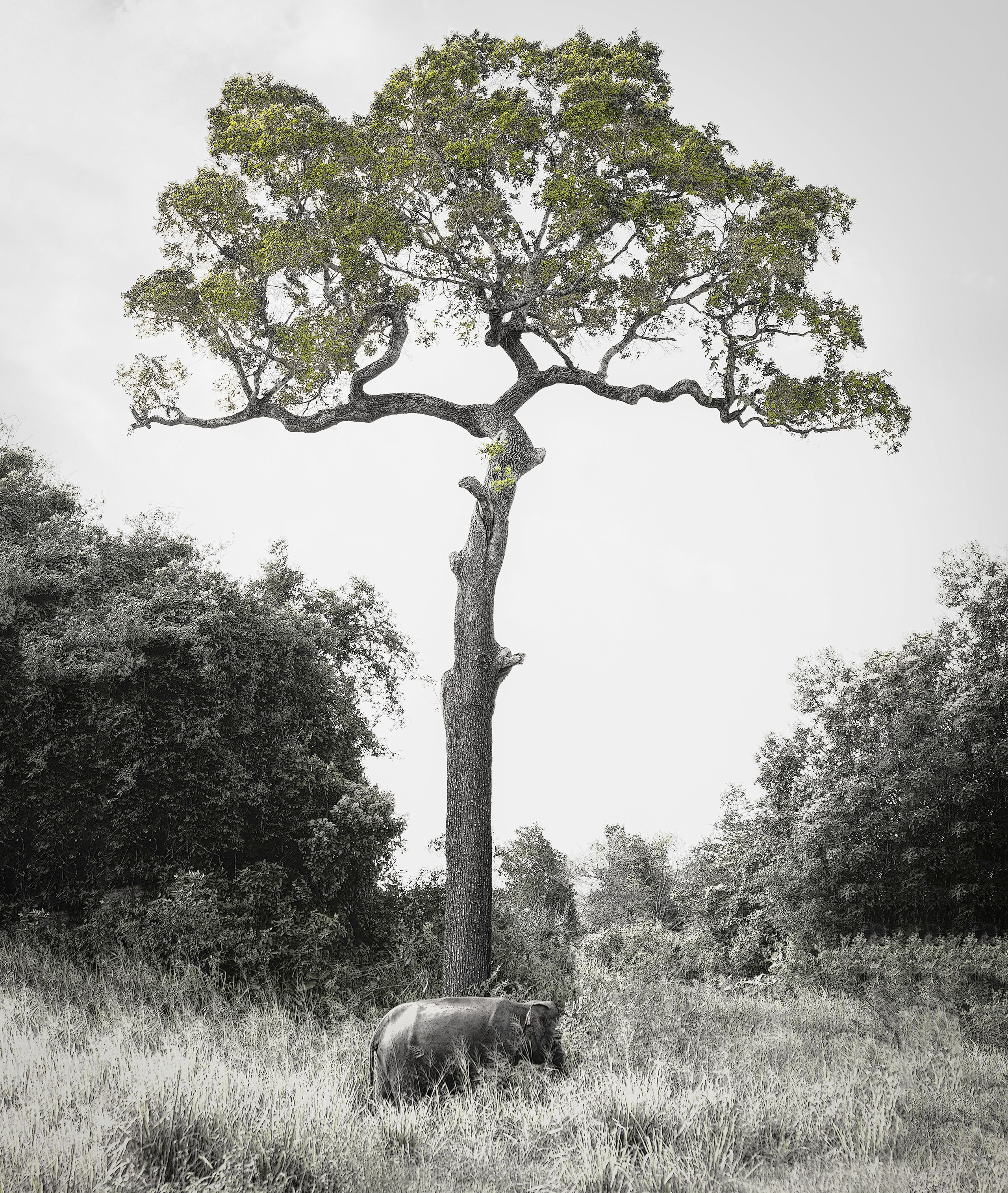 LANDSCAPE. Art Рhotographer Russia/Moscow