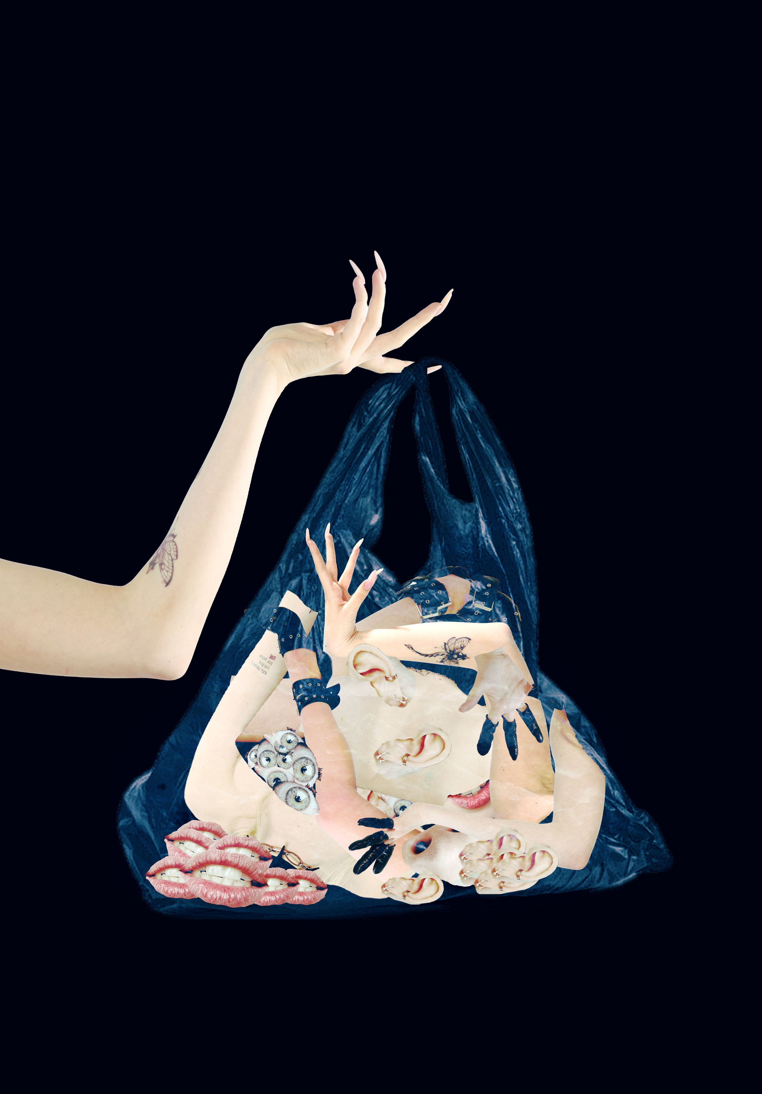 Human Cloning. Arina Kharakhashian