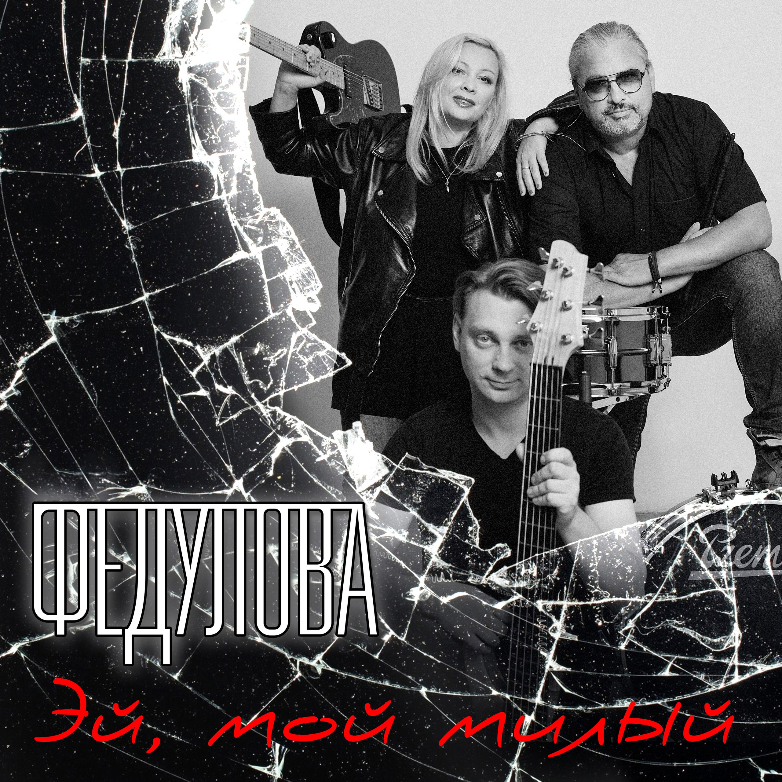 группа Федулова