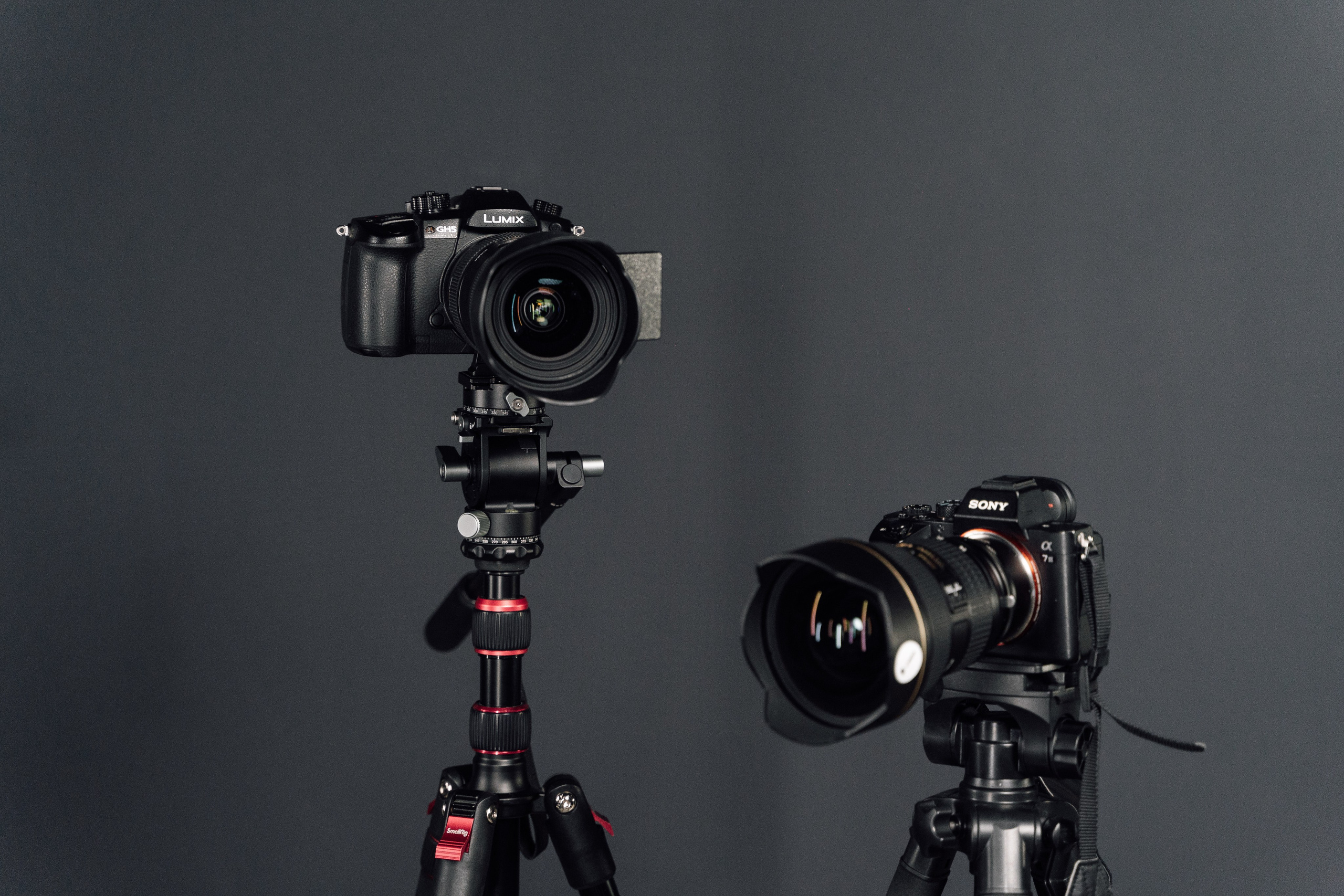 Интерьерная. Kamelia Candy фотограф Самара/ Москва