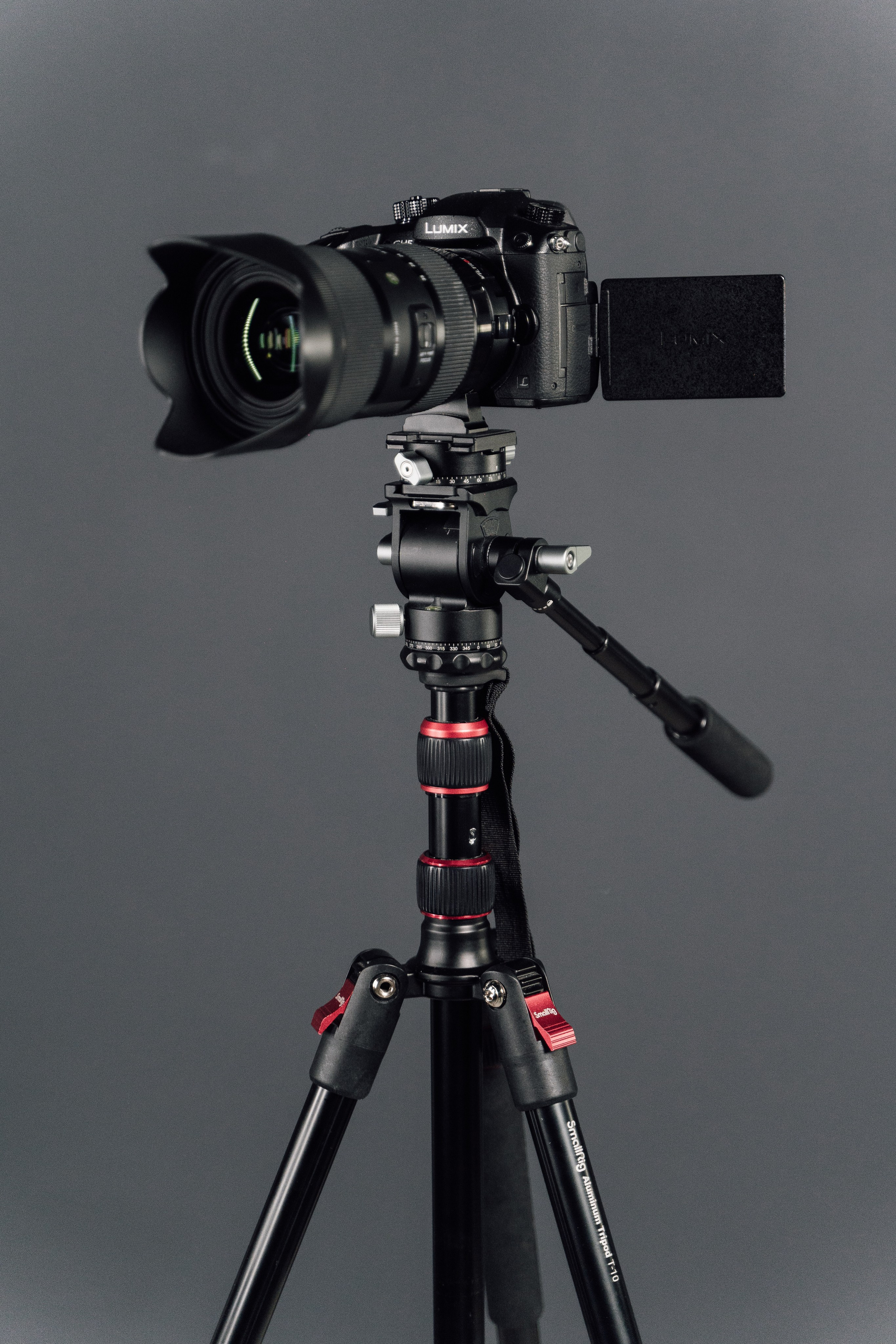 Интерьерная. Kamelia Candy фотограф Самара/ Москва