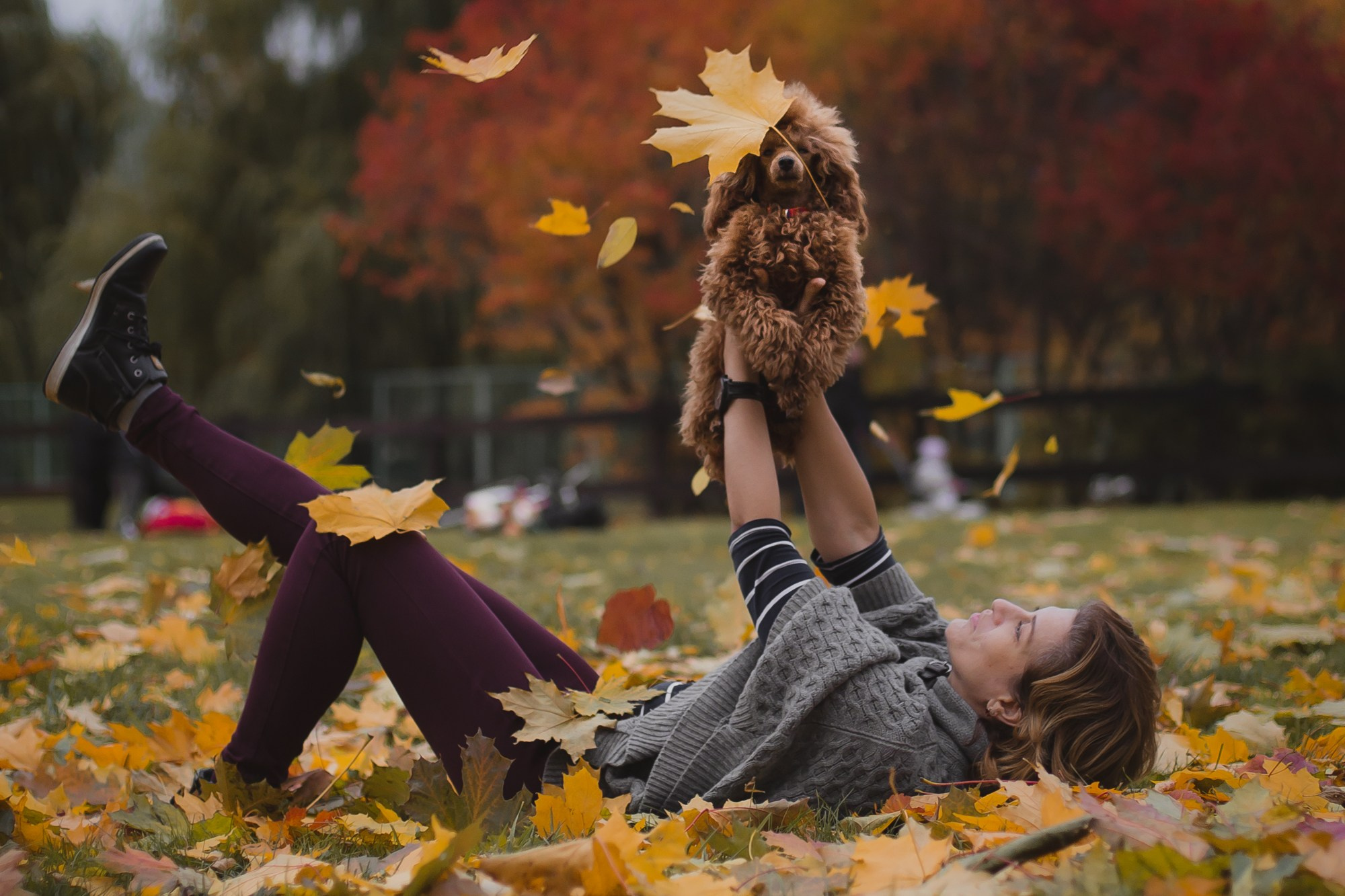 Прогулка Коломенское. Фотограф в Москве и МО Елизавета Якубенко